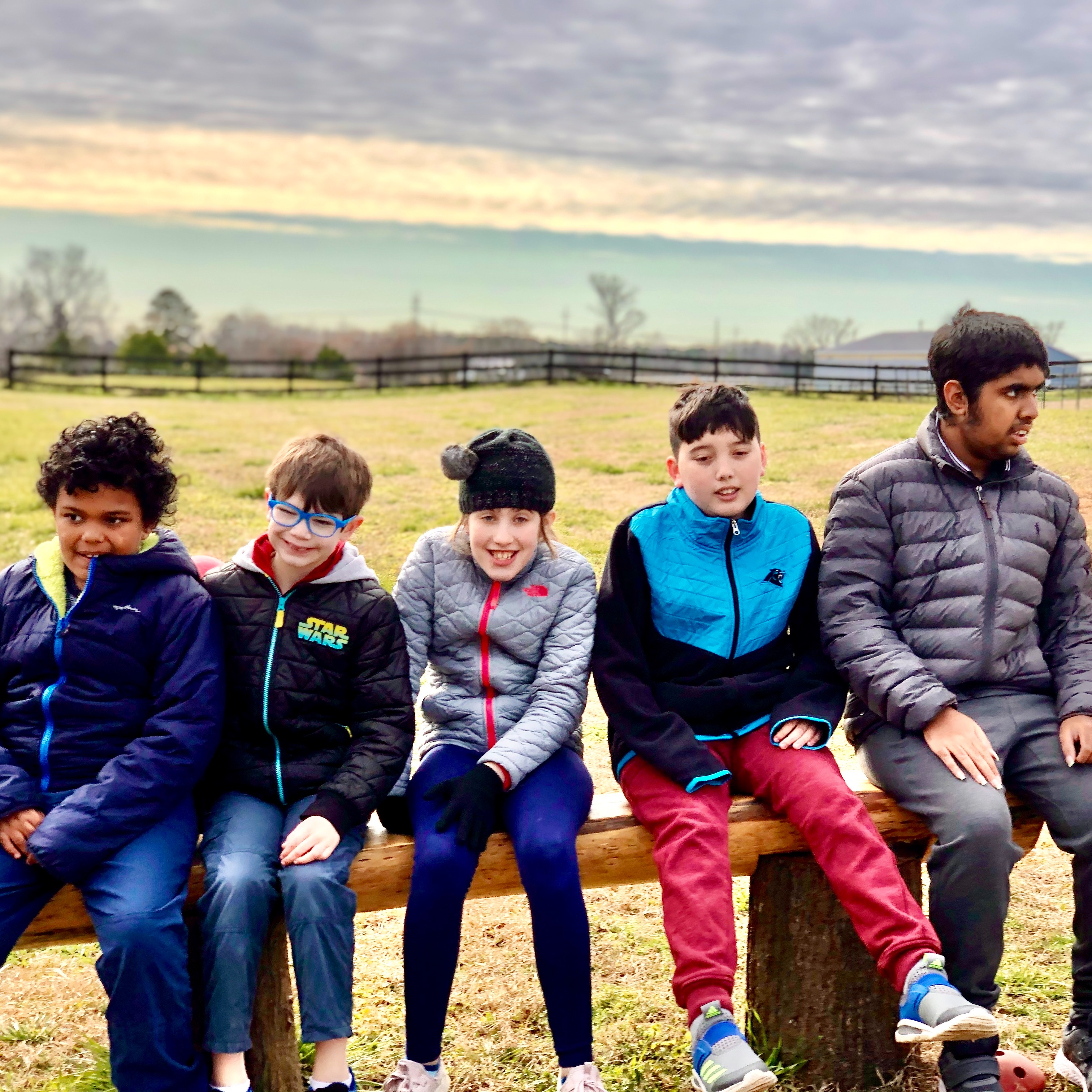 Photo 4 from 3 Bluebirds Farm