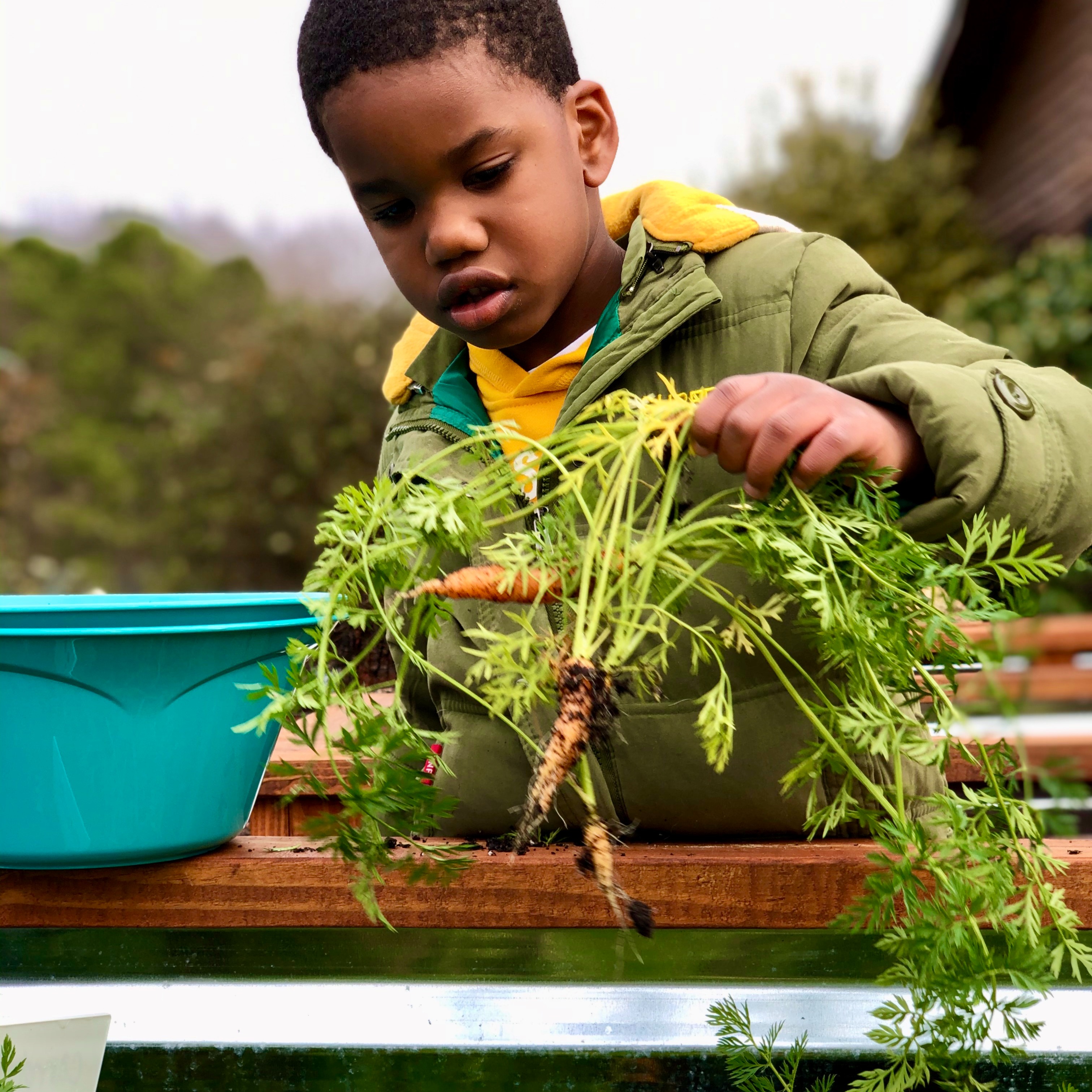 Photo 5 from 3 Bluebirds Farm