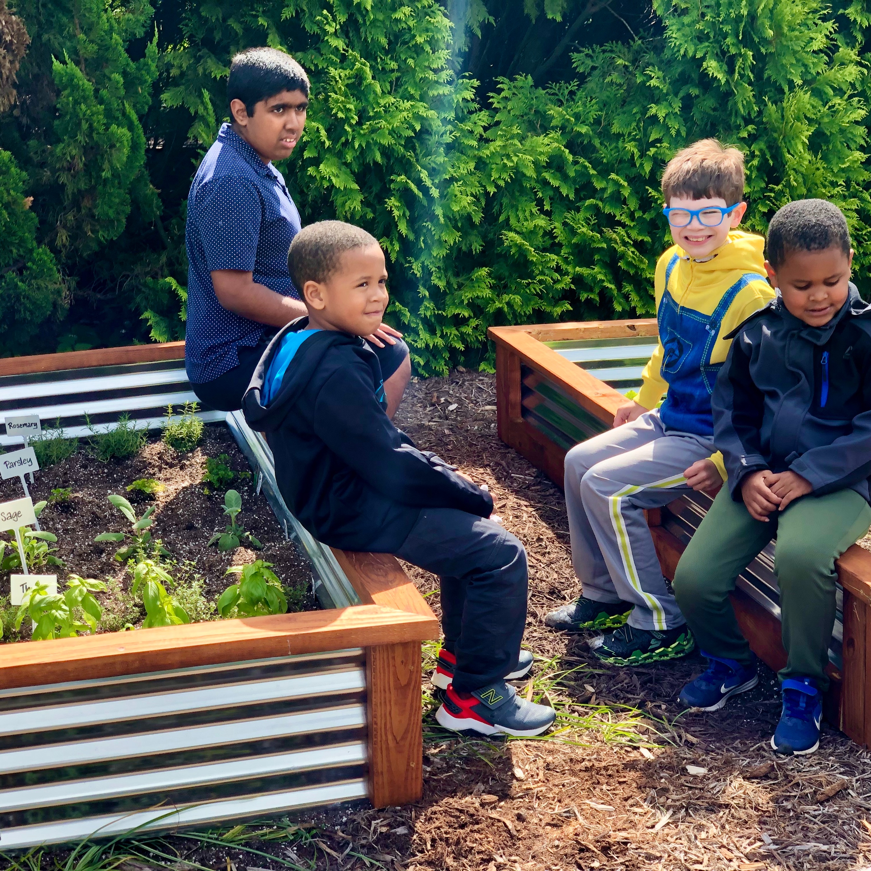 Photo 6 from 3 Bluebirds Farm