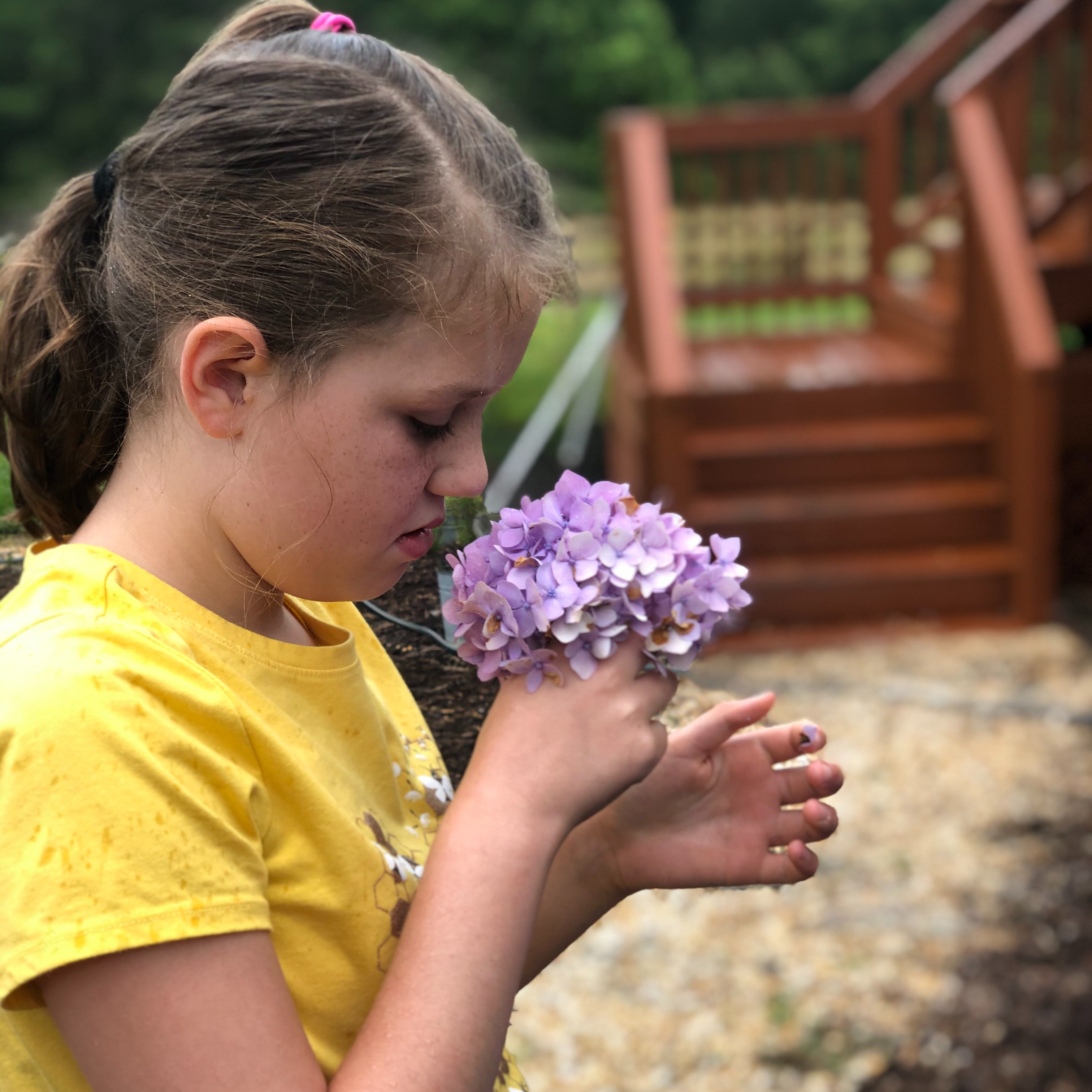 Photo 11 from 3 Bluebirds Farm