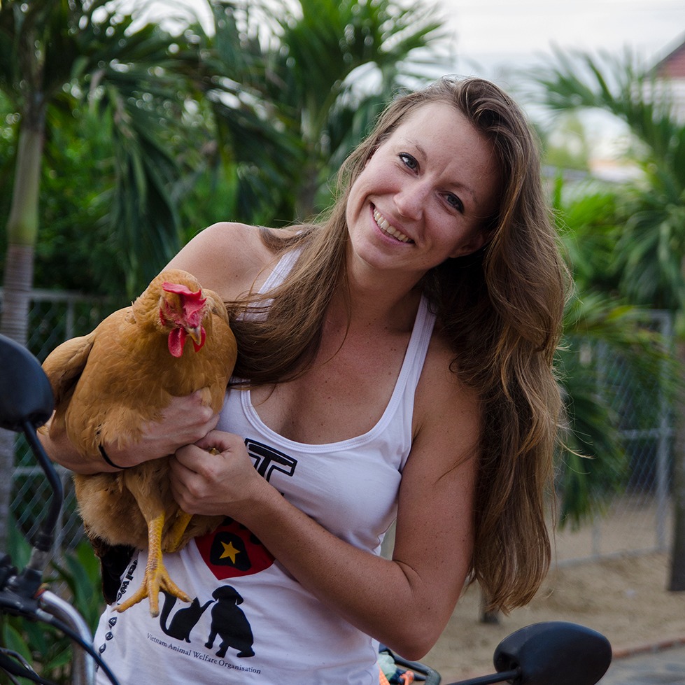 Photo 1 from Vietnam Animal Aid and Rescue - US