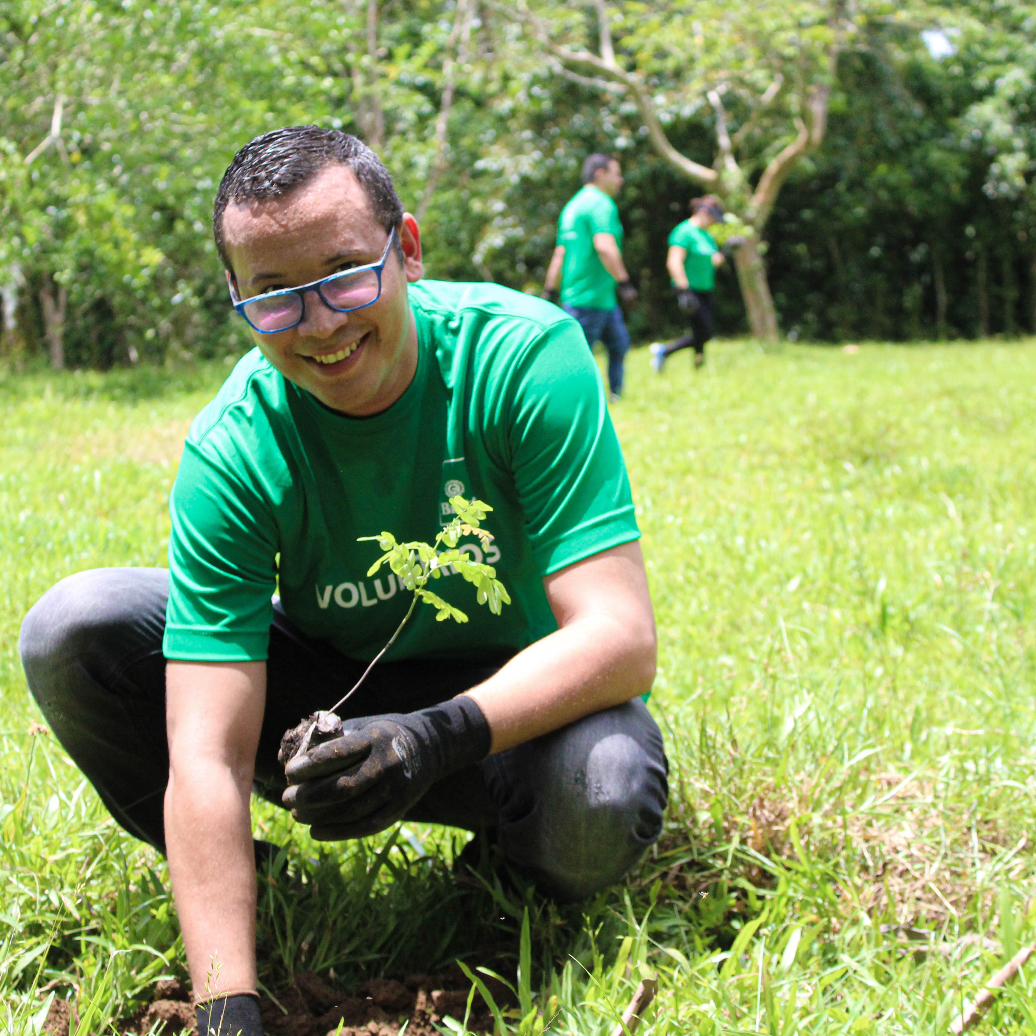 Photo 8 from Toucan Rescue Ranch