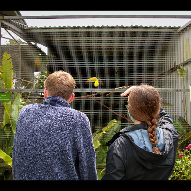 Photo 9 from Toucan Rescue Ranch