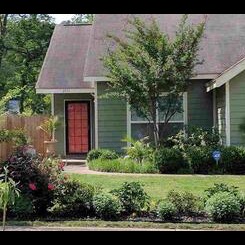 Photo 5 from Roots Inc