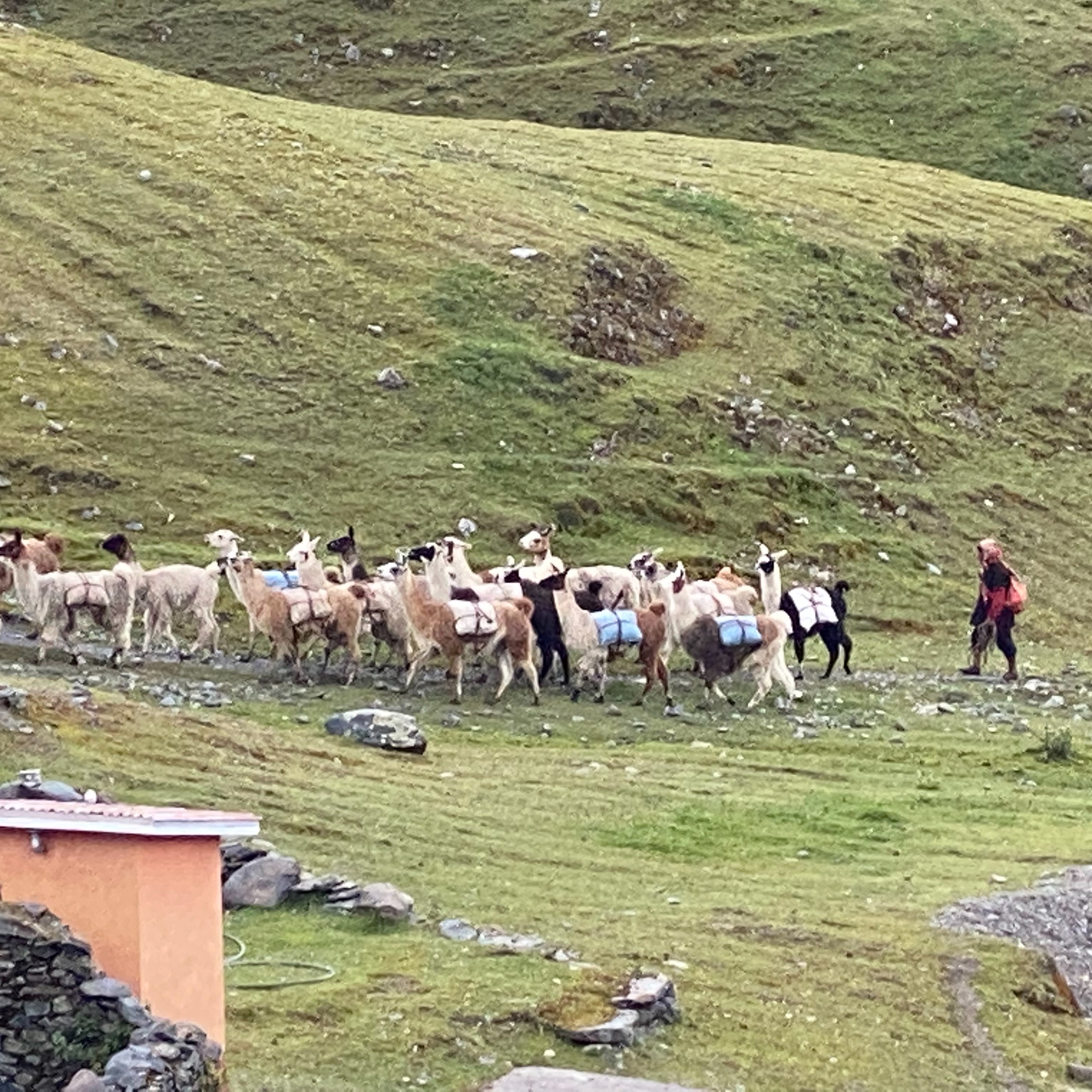 Photo 3 from Whole Earth Engineering, Inc.