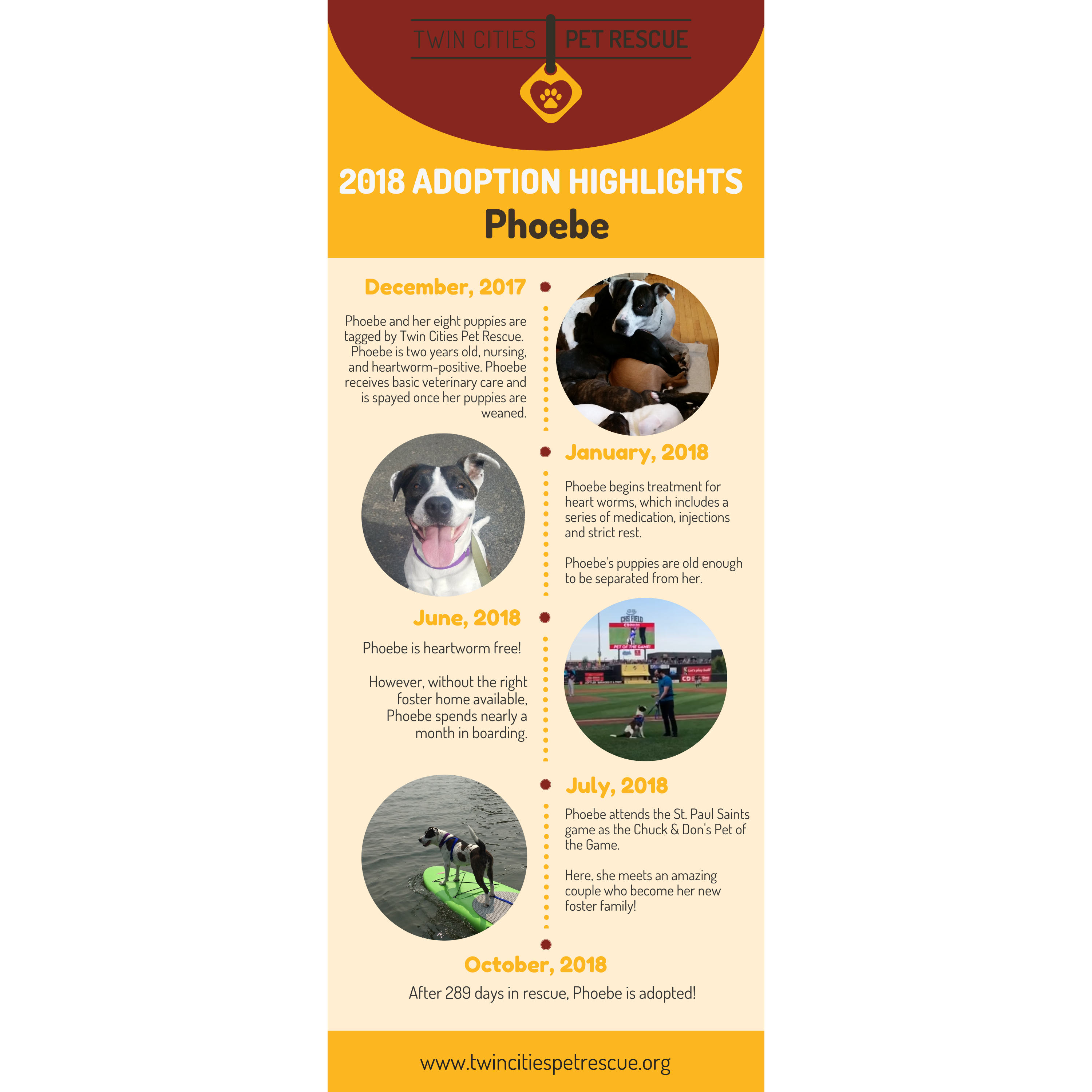 Photo 3 from Twin Cities Pet Rescue