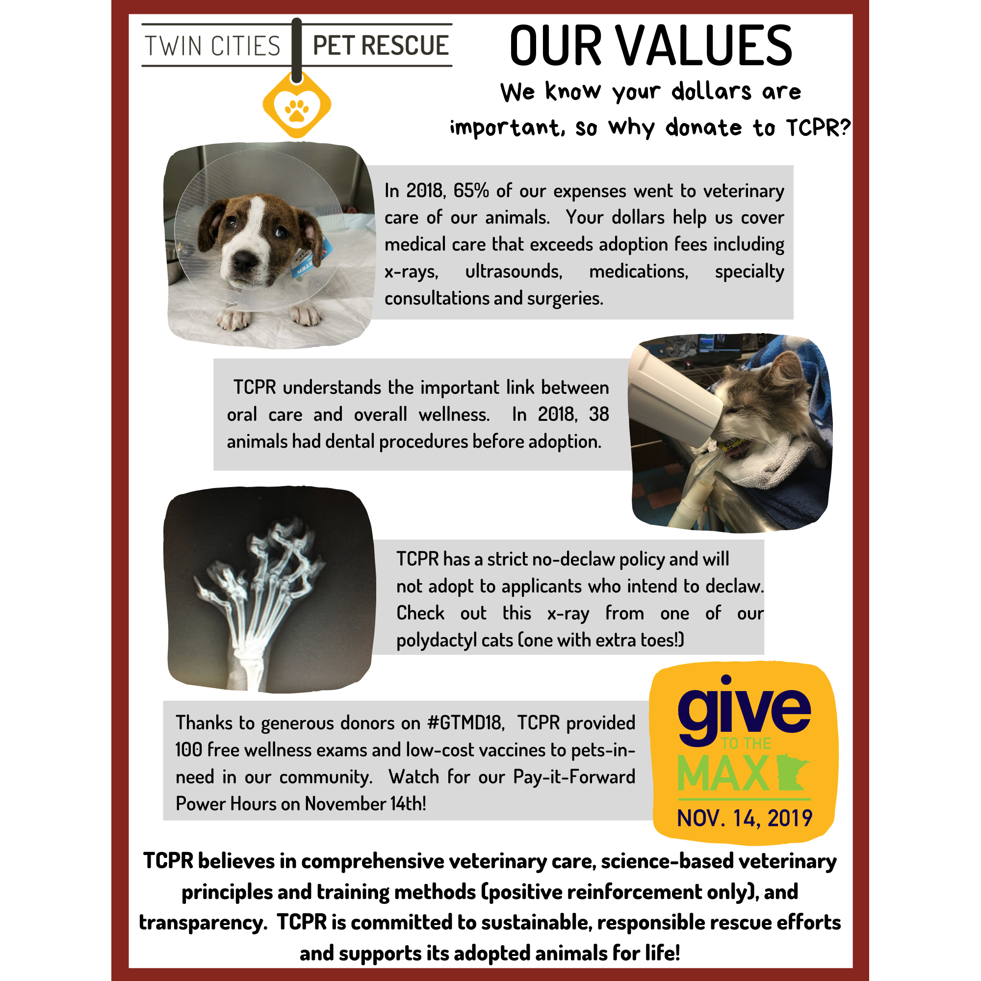 Photo 4 from Twin Cities Pet Rescue