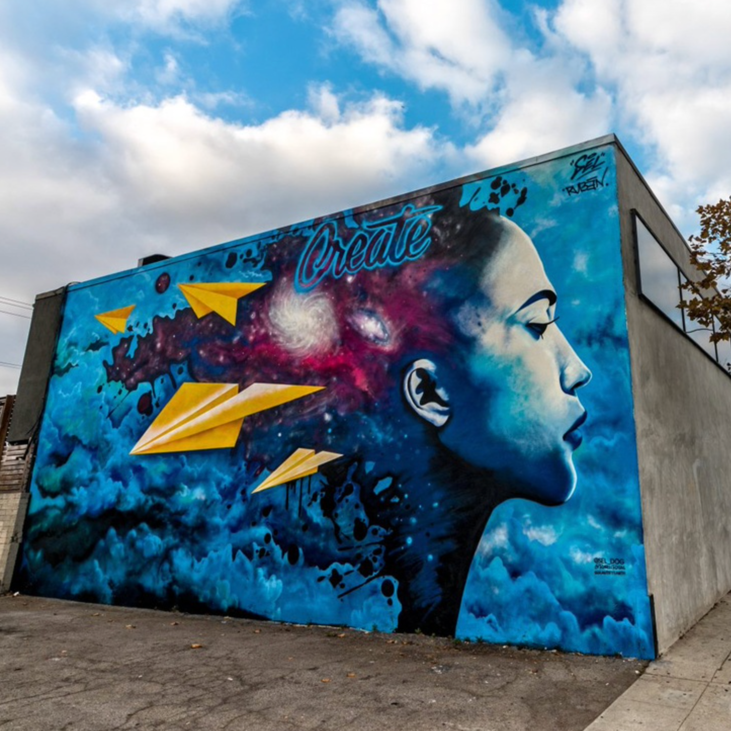 Photo 9 from Beautify Earth