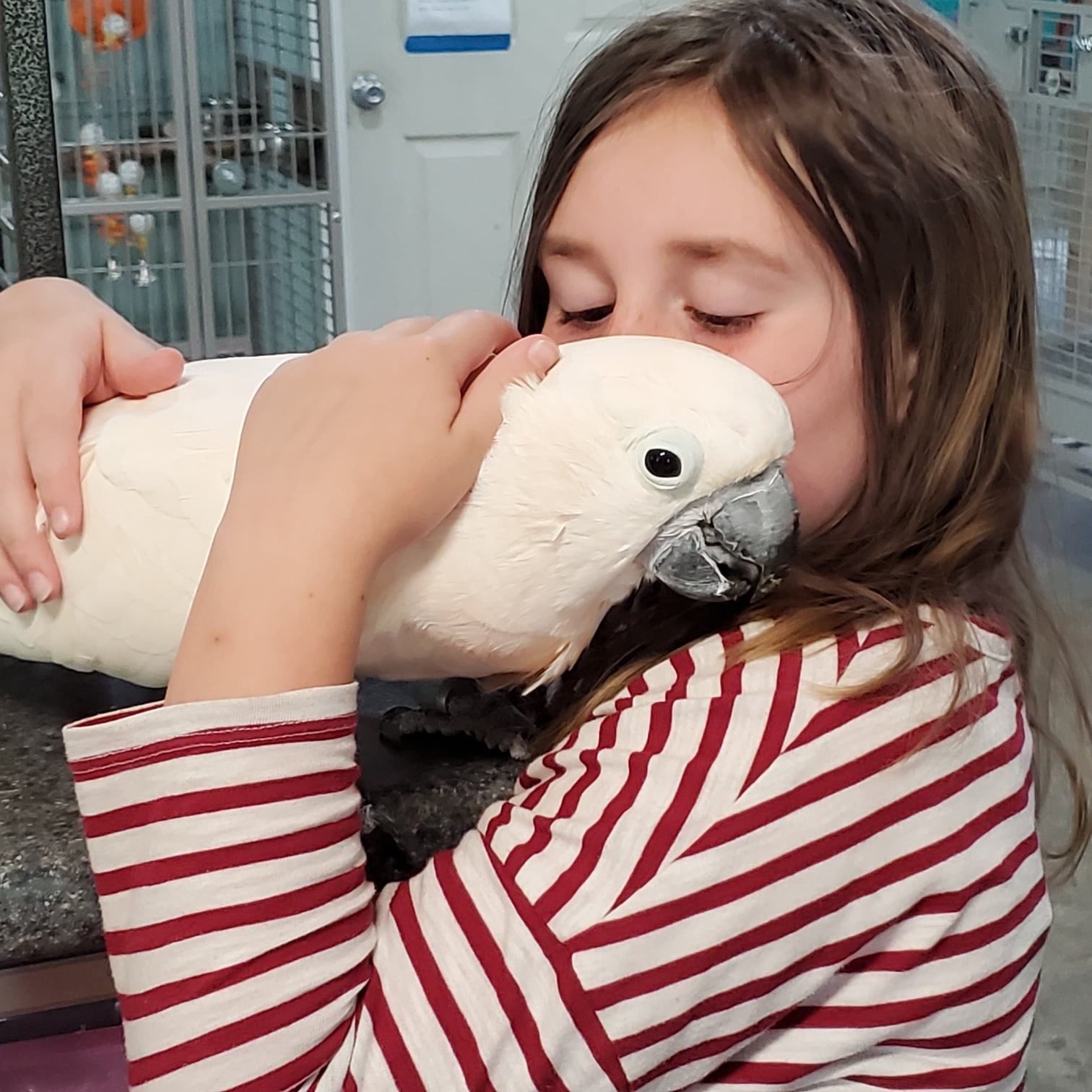 Photo 3 from Exotic Avian Sanctuary of Tennessee, Inc (EAST)