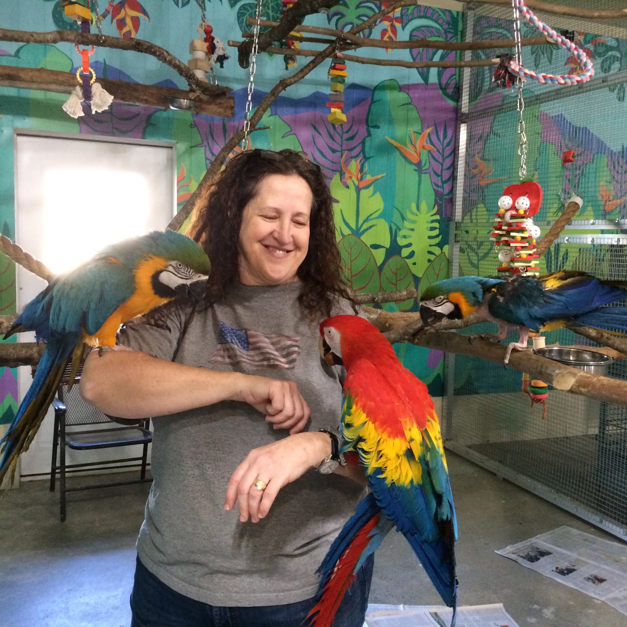 Photo 9 from Exotic Avian Sanctuary of Tennessee, Inc (EAST)