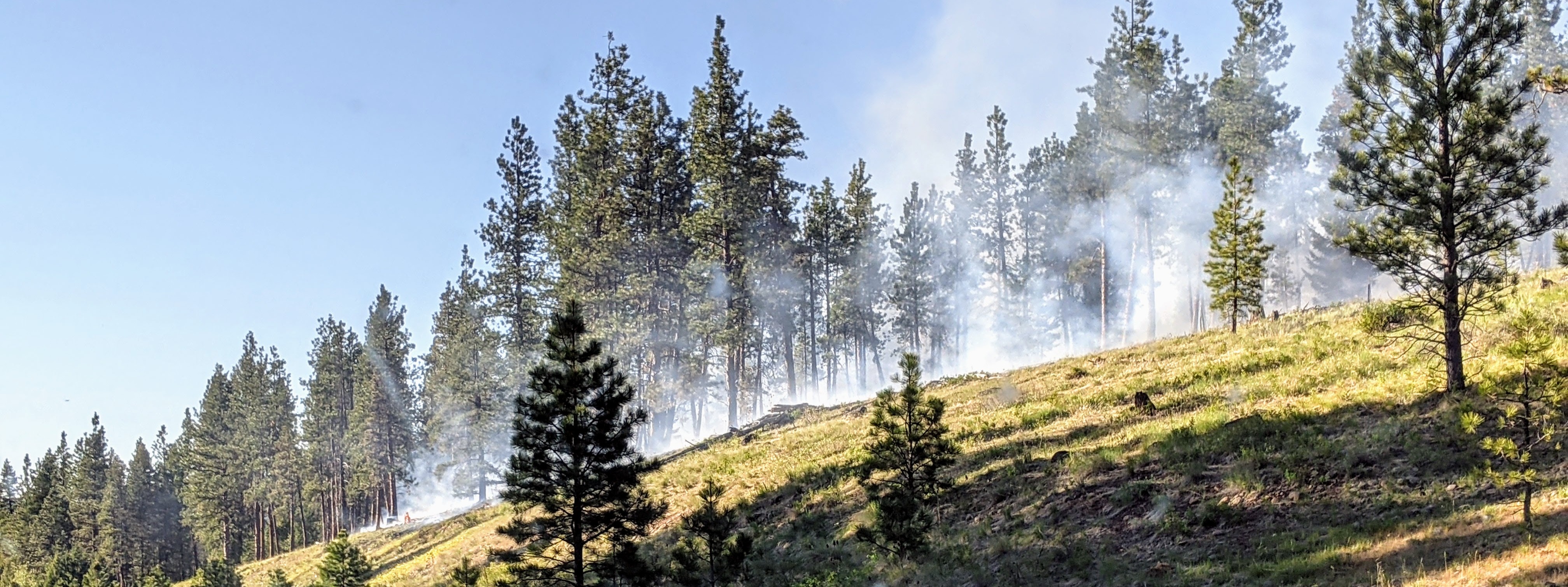Fire, Weather & Avalanche Center