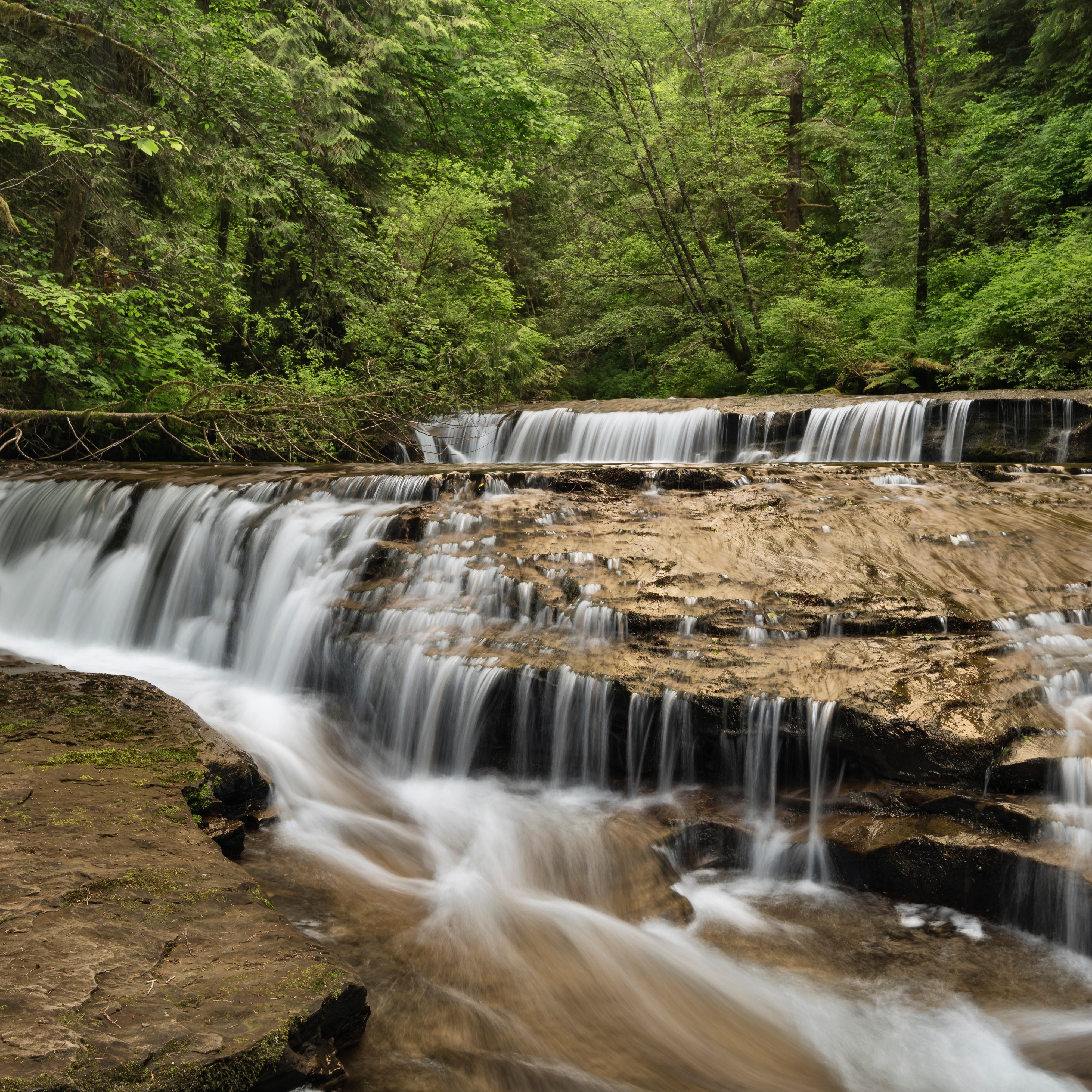 Photo 7 from Wild Salmon Center