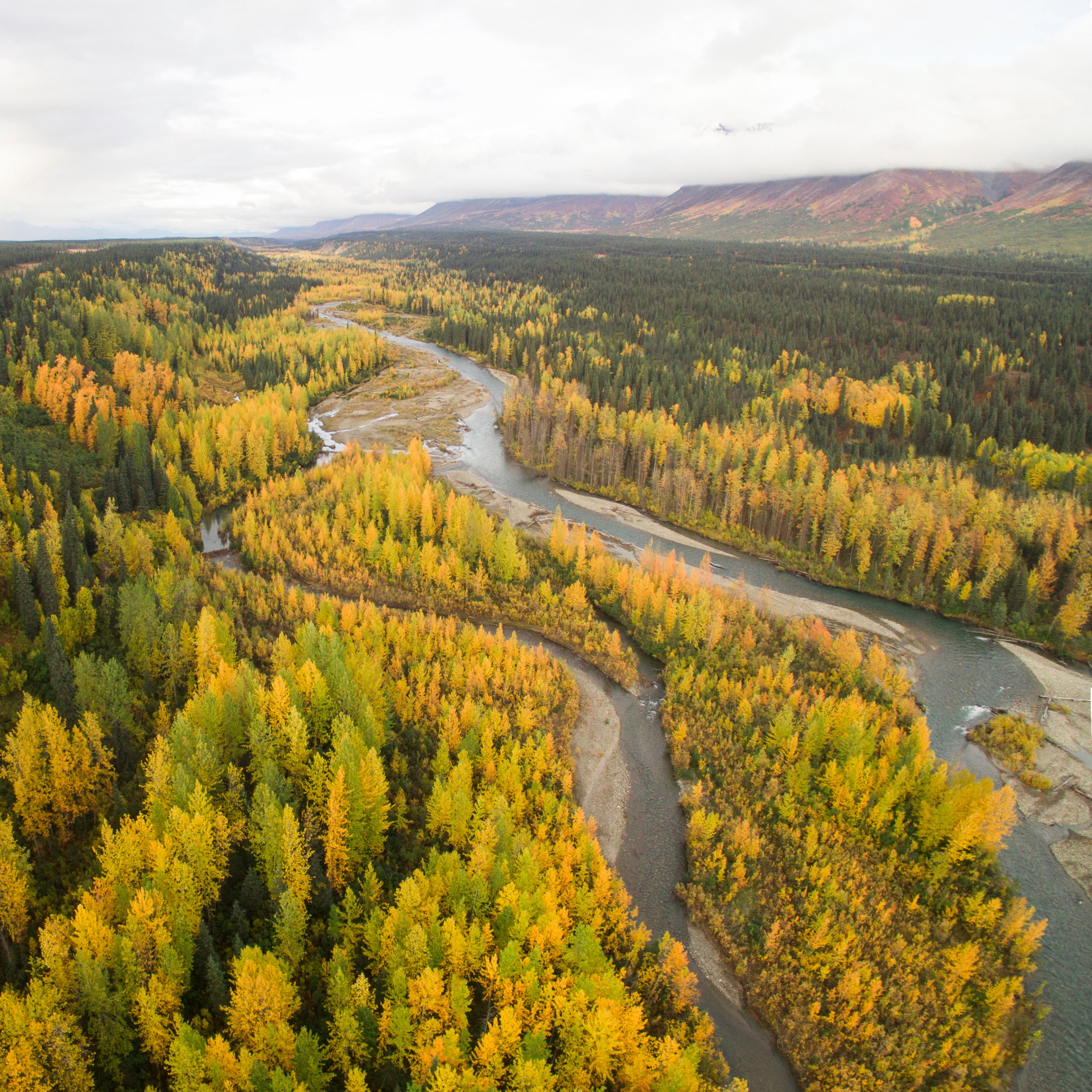 Photo 3 from Wild Salmon Center
