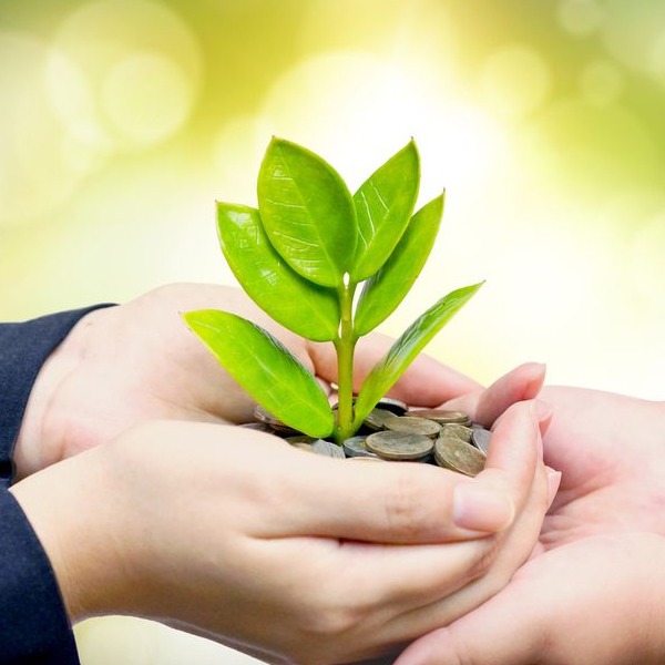 Beyond Vision Foundation