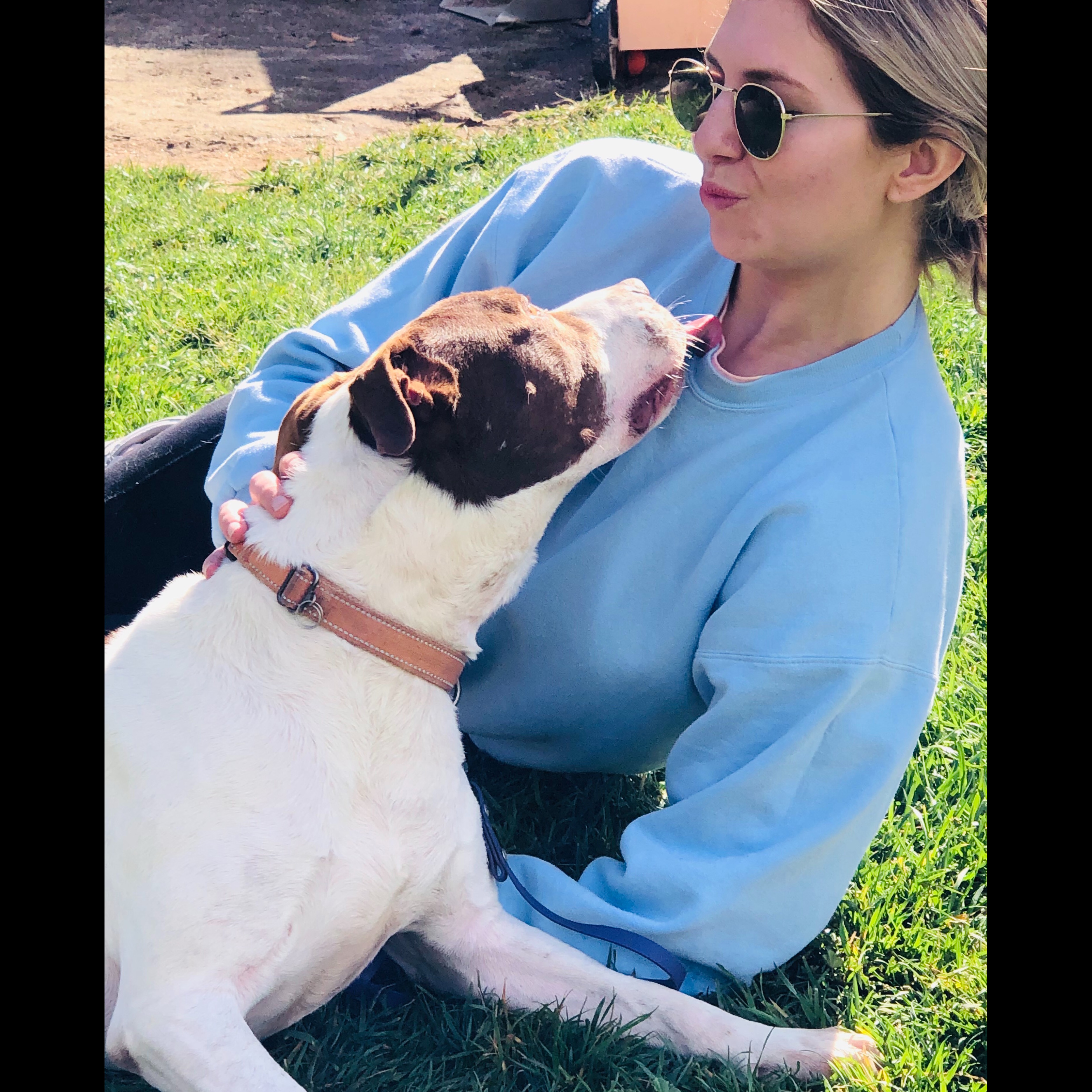 Photo 5 from 4Life Rescue Inc