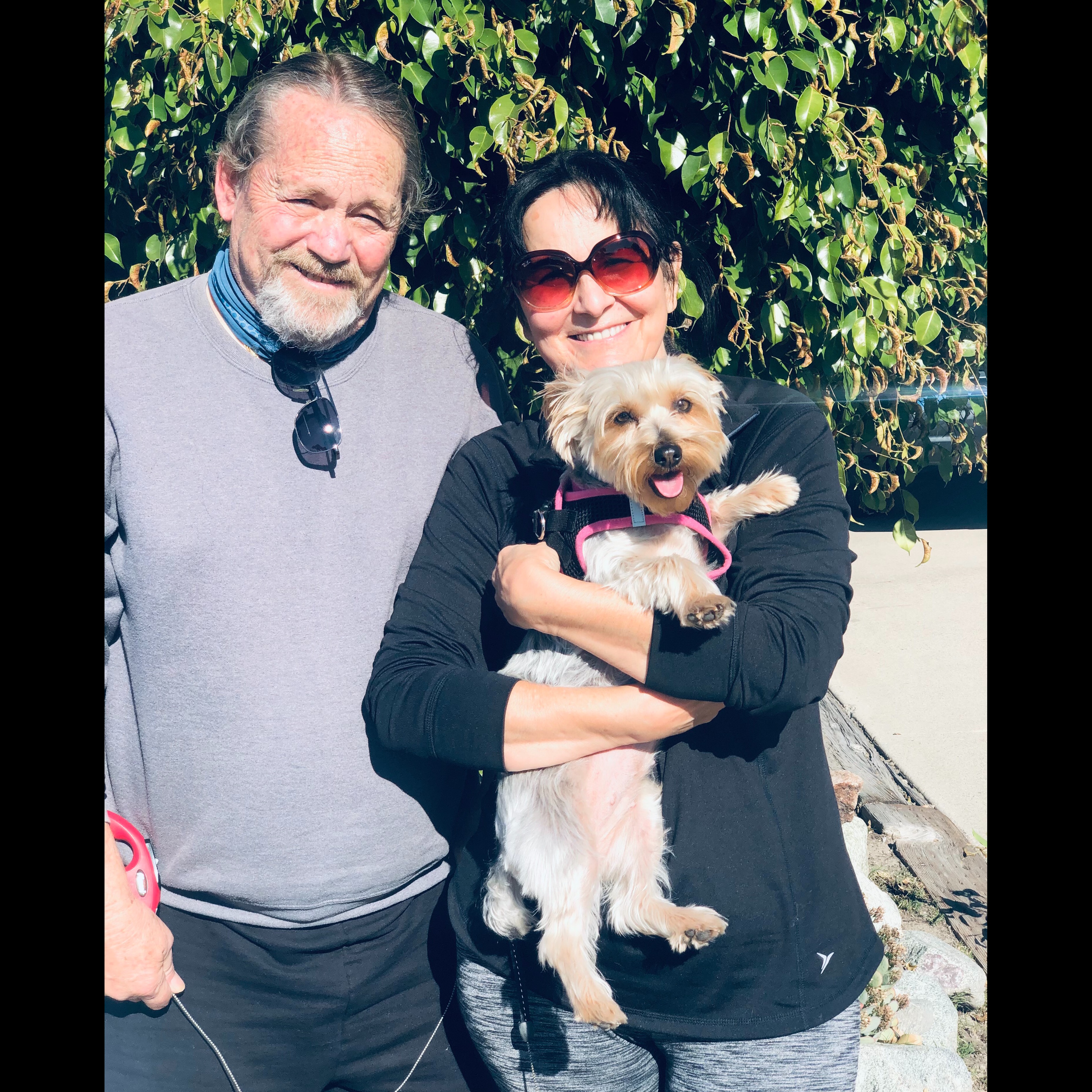 Photo 6 from 4Life Rescue Inc