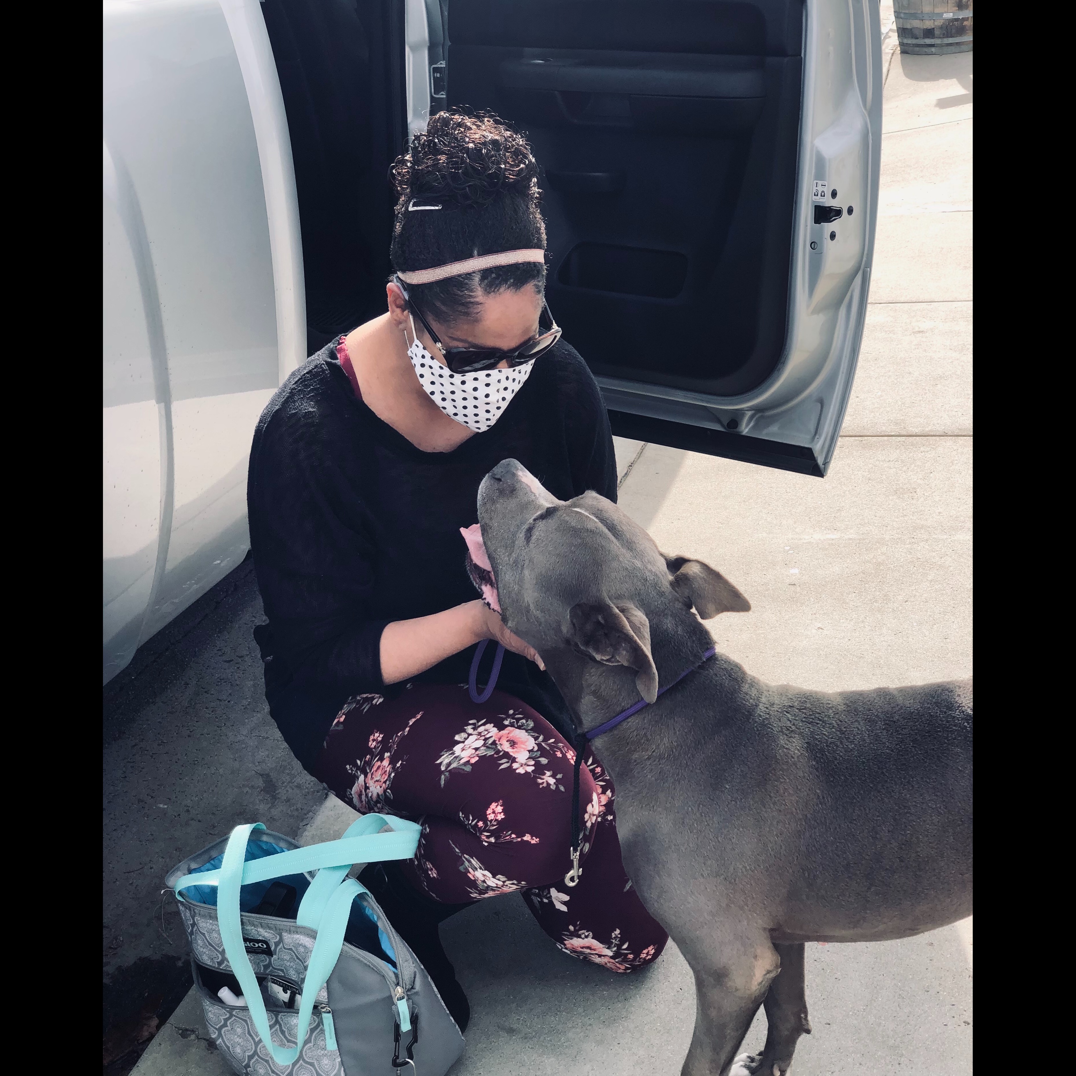 Photo 7 from 4Life Rescue Inc