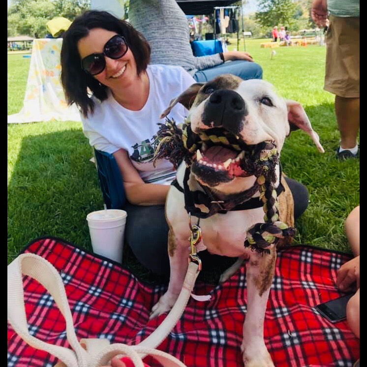 Photo 8 from 4Life Rescue Inc