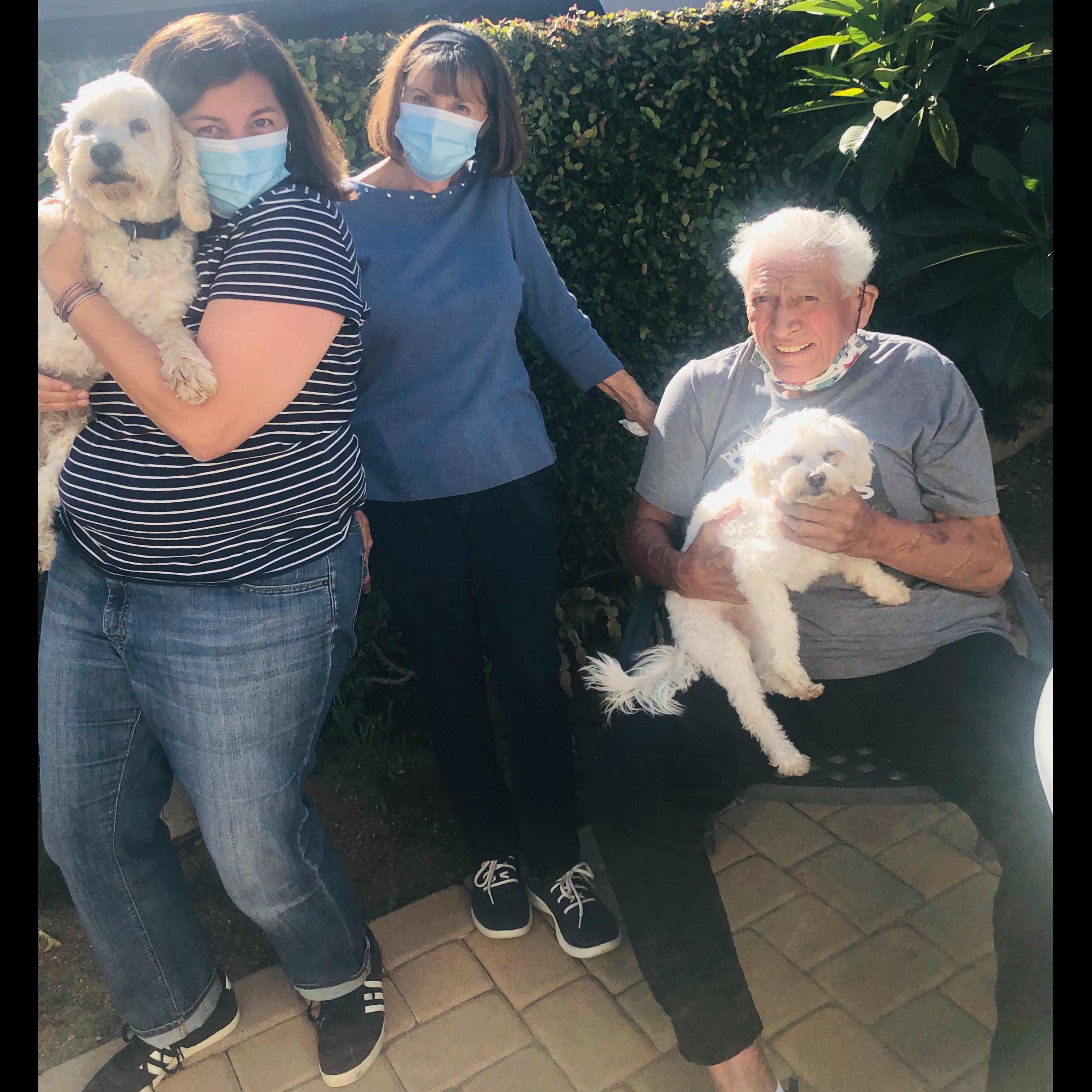 Photo 10 from 4Life Rescue Inc