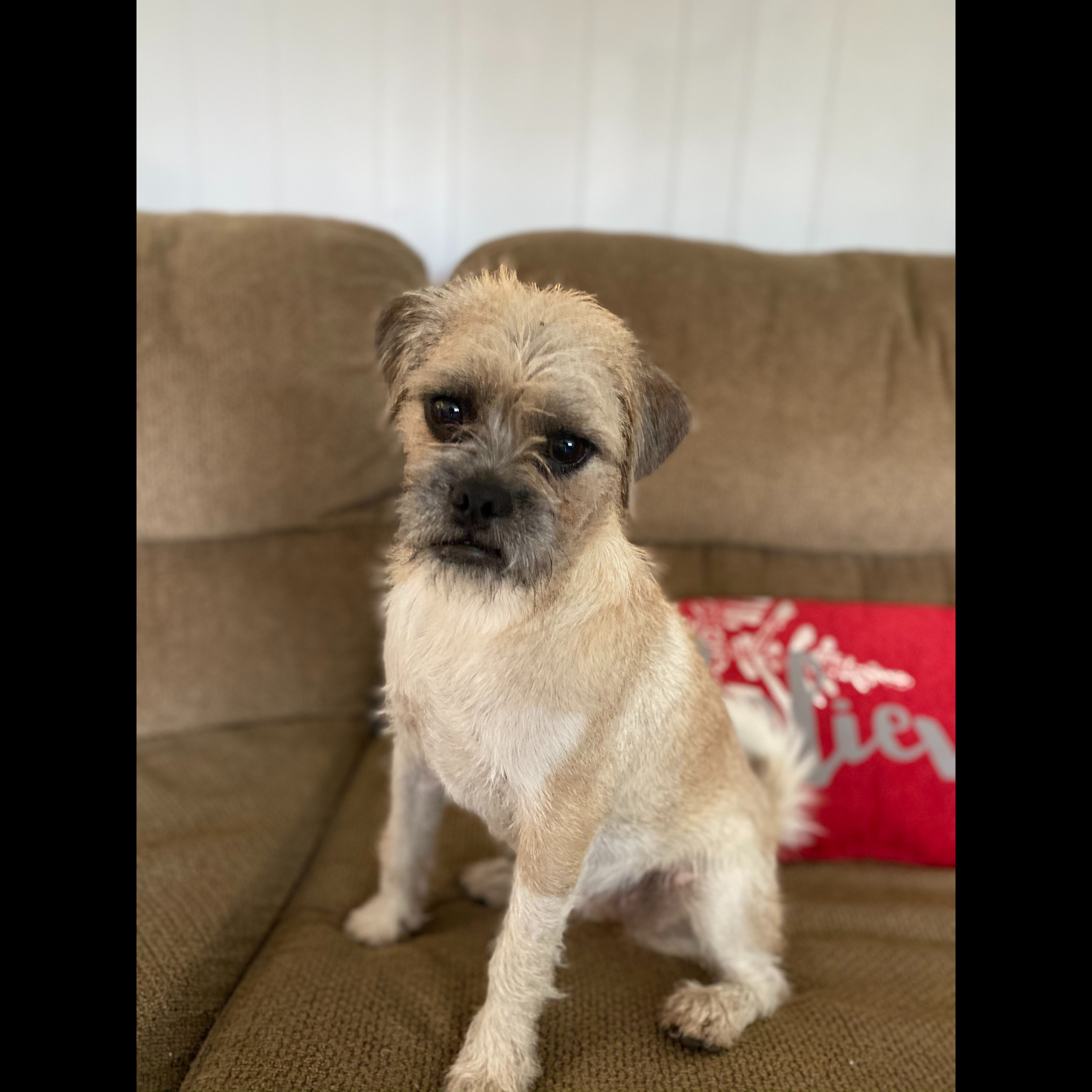 Photo 11 from 4Life Rescue Inc