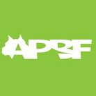 American Pit Bull Foundation