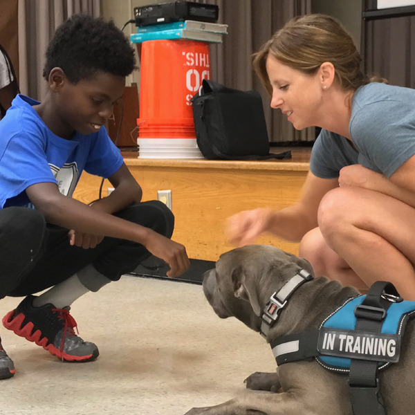 Photo 6 from American Pit Bull Foundation