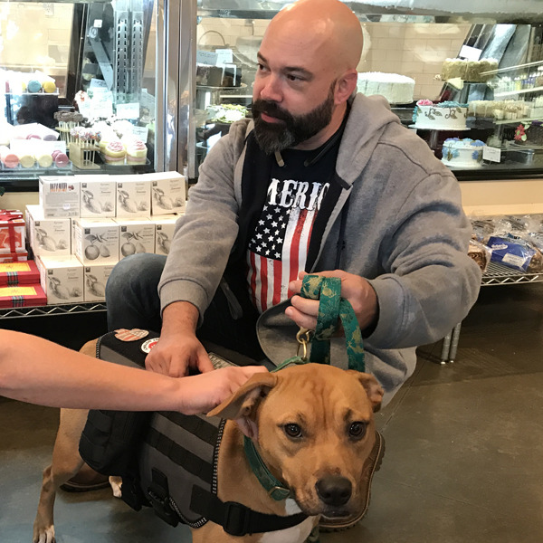 Photo 2 from American Pit Bull Foundation