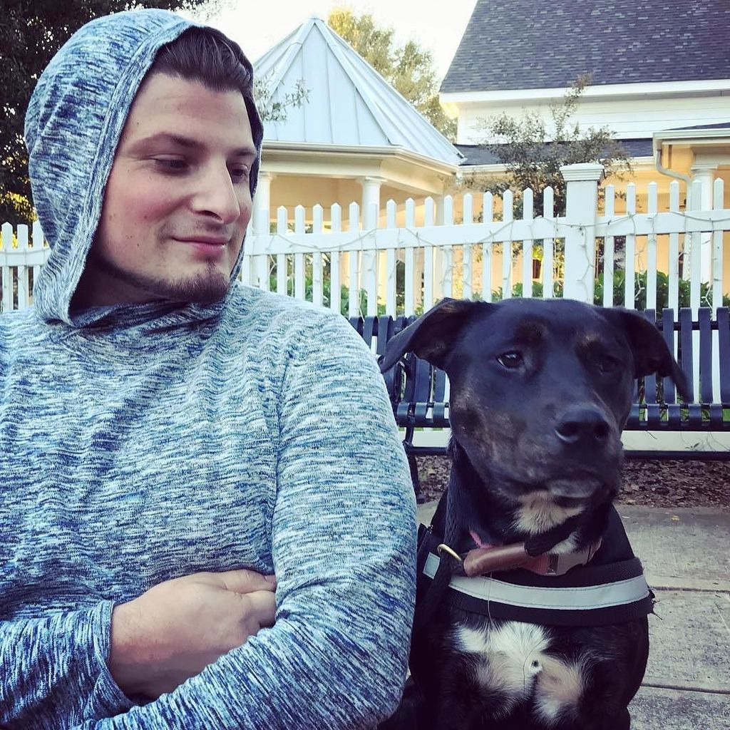 Photo 4 from American Pit Bull Foundation