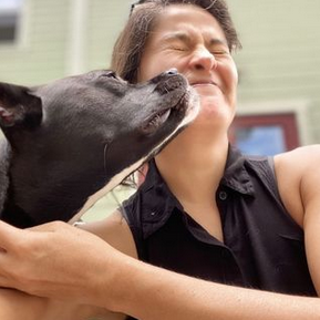 Photo 1 from American Pit Bull Foundation