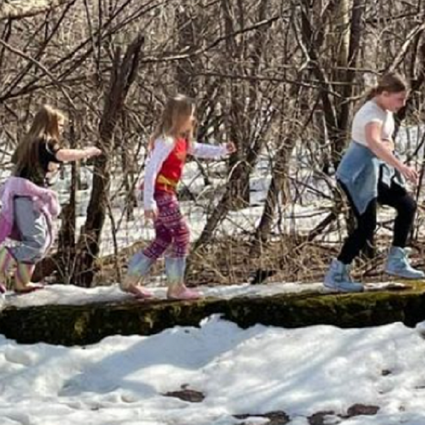 Photo 7 from Spectrum School