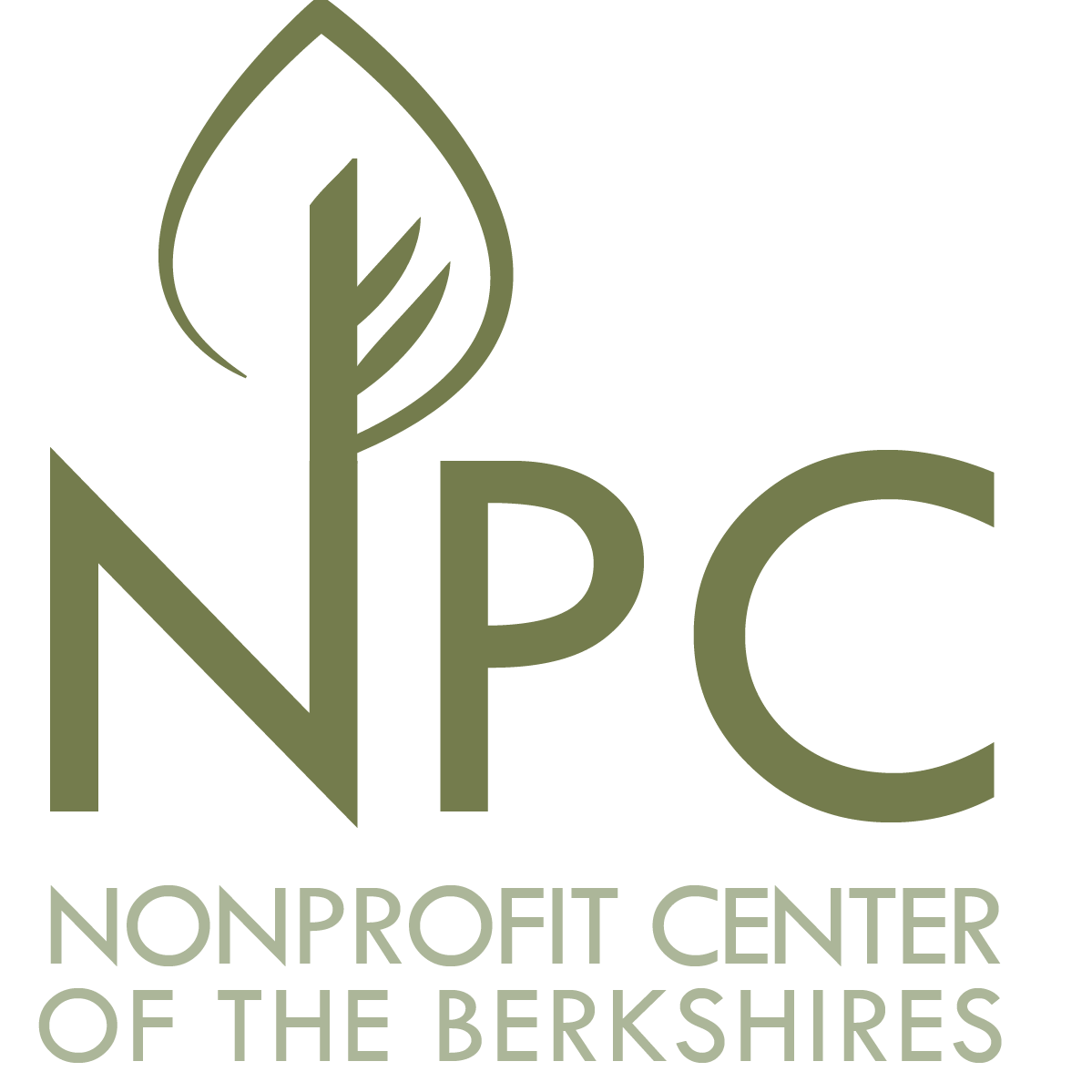 NONPROFIT CENTER OF THE BERKSHIRES INC