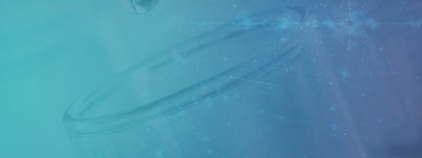 Howard Brain Sciences Foundation