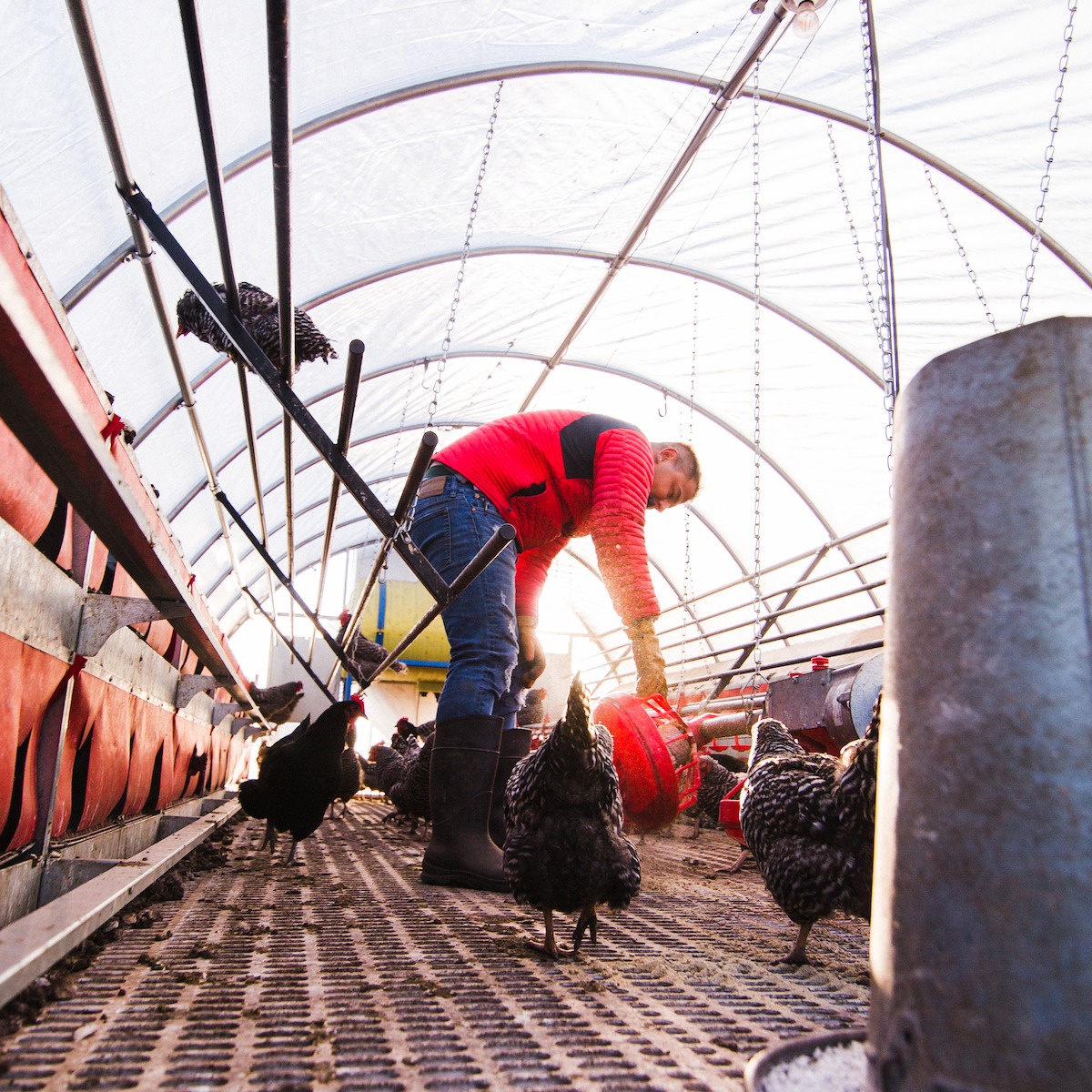 Photo 7 from Rockside Ranch