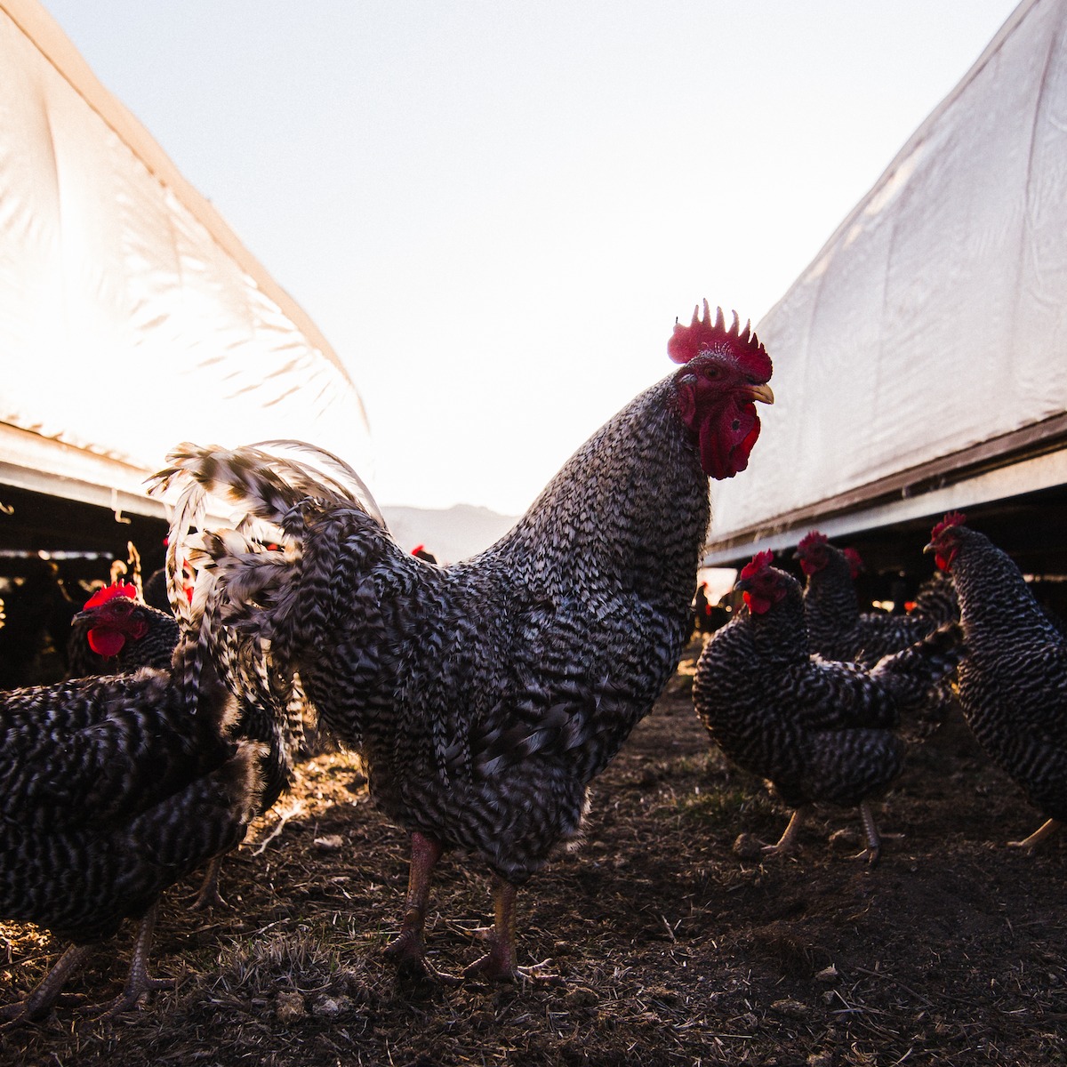 Photo 2 from Rockside Ranch