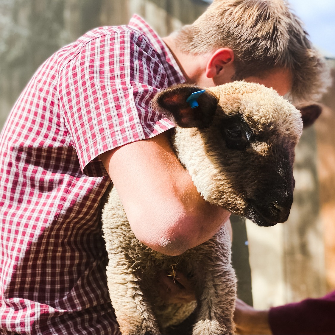 Photo 9 from Rockside Ranch