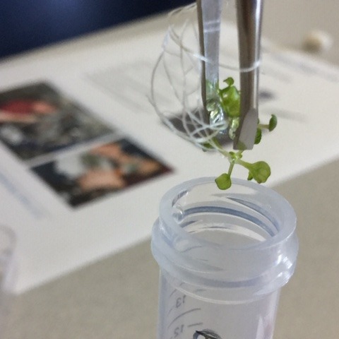 Photo 2 from CAMP STEM