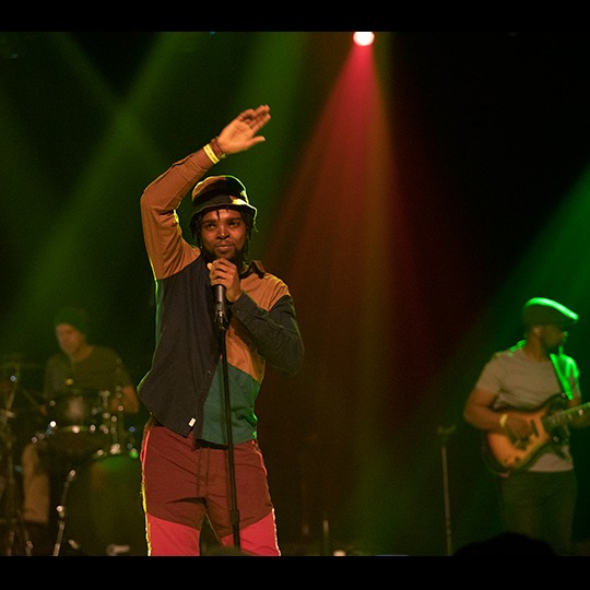 Photo 8 from World Music Development Inc