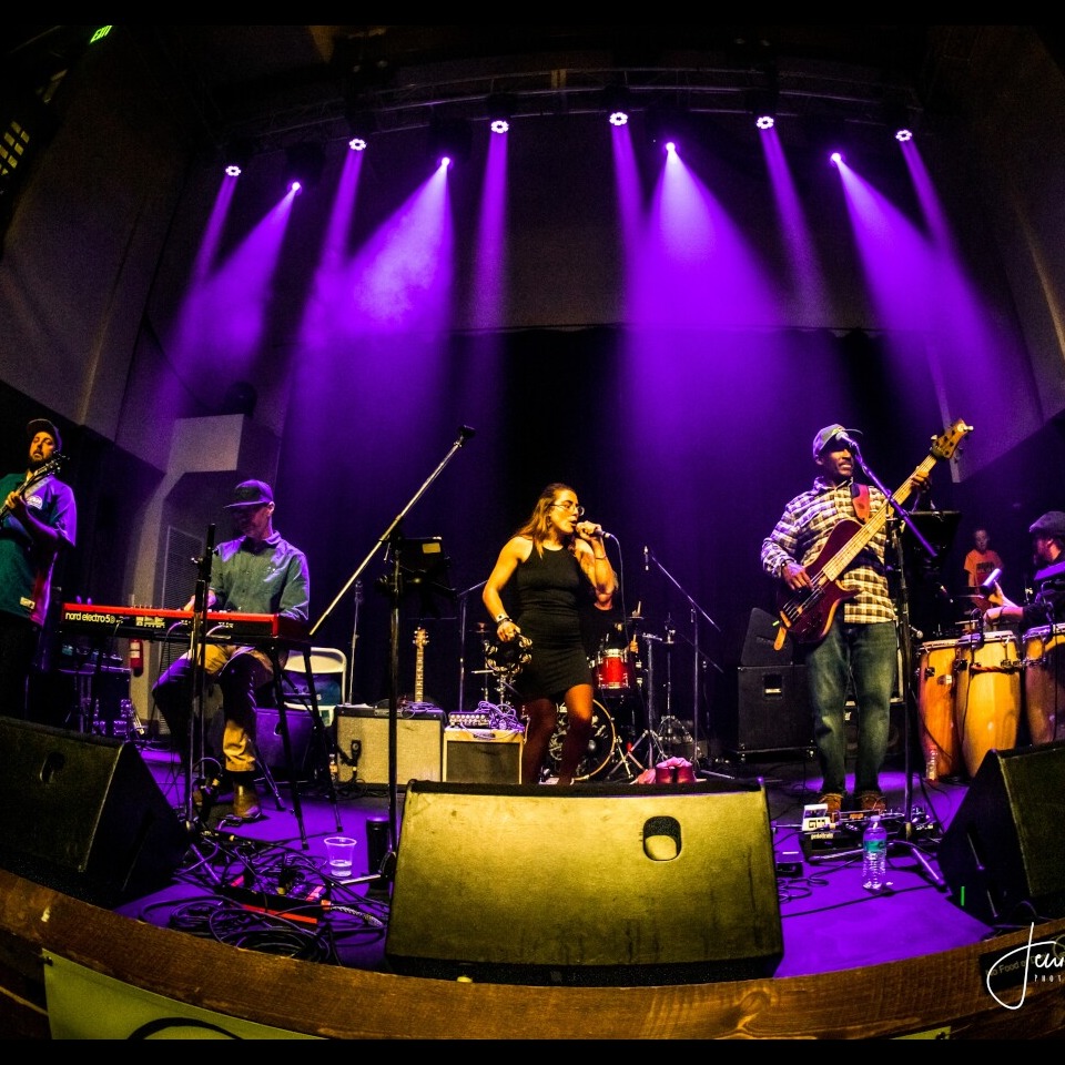 Photo 9 from World Music Development Inc