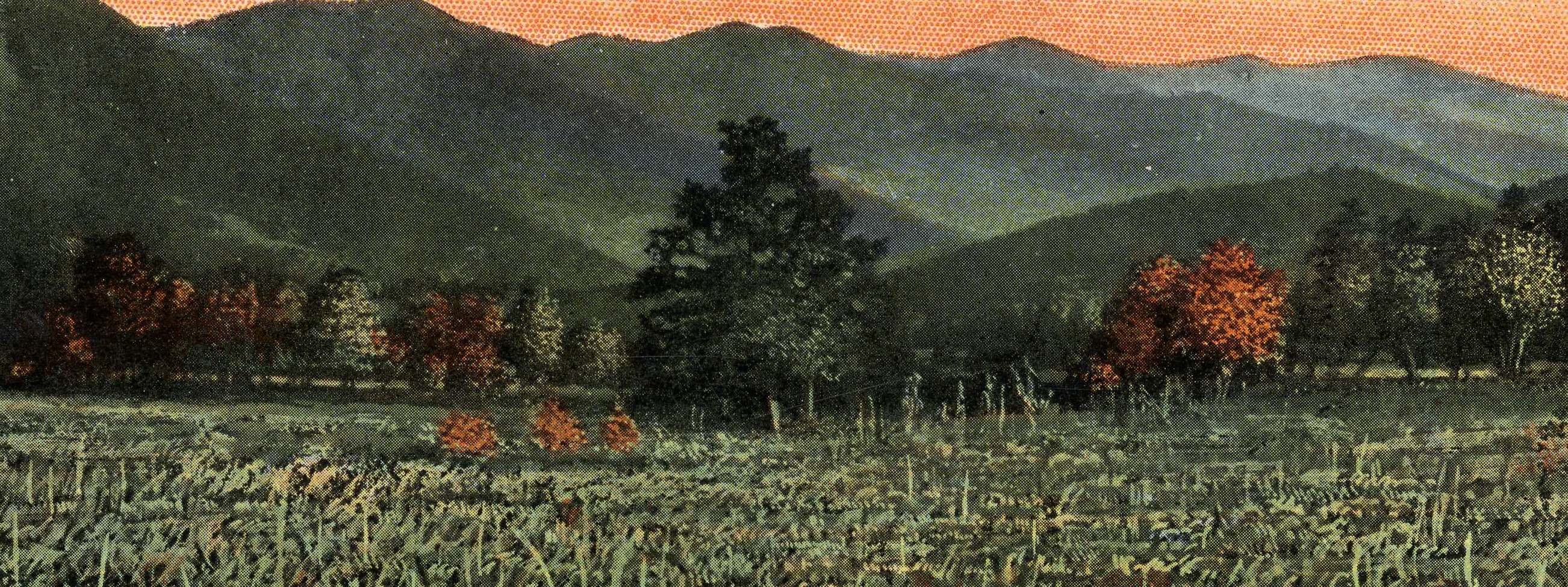 Swannanoa Valley Historical & Preservation Association, Inc.