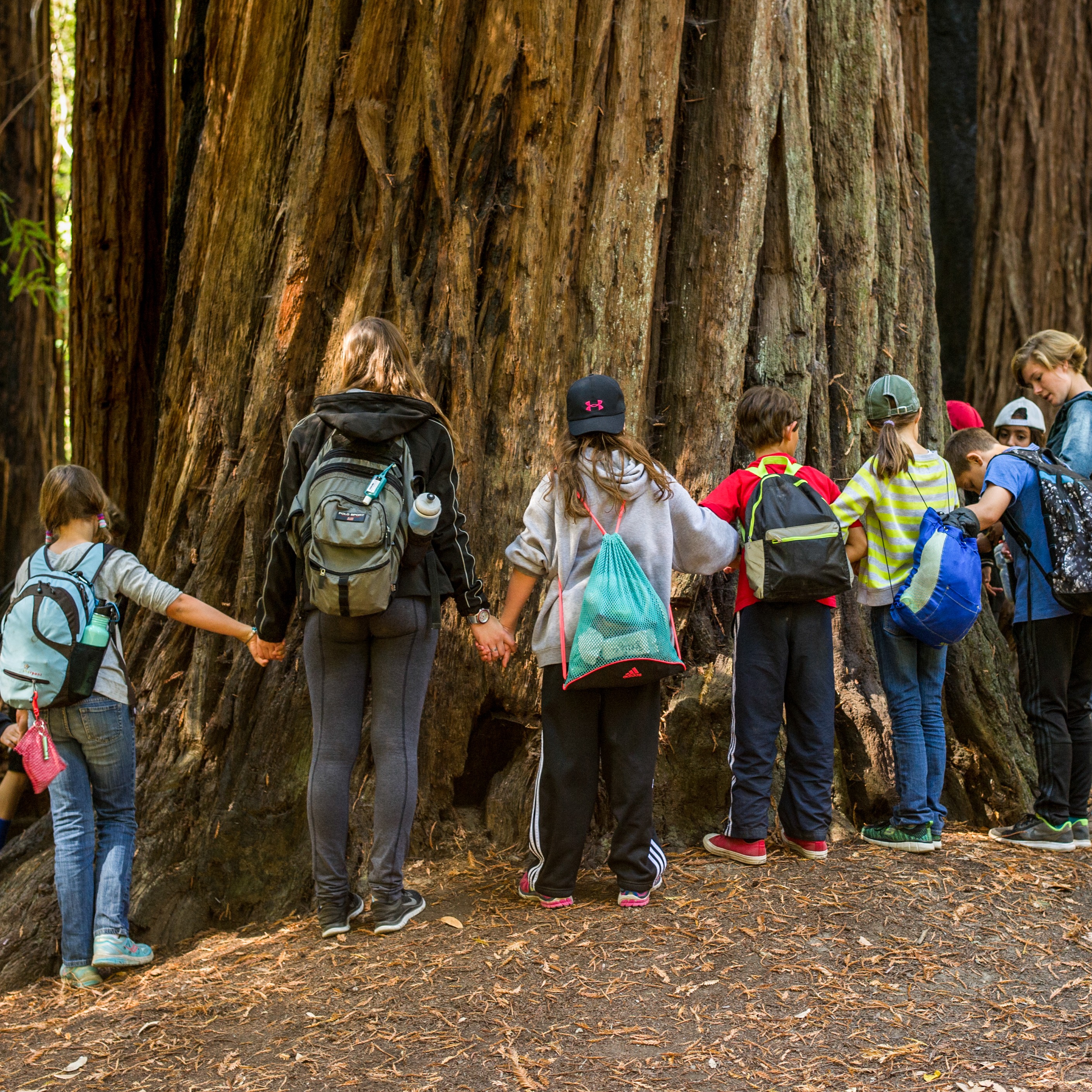 Photo 4 from EXPLORING NEW HORIZONS