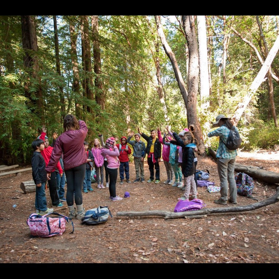 Photo 6 from EXPLORING NEW HORIZONS