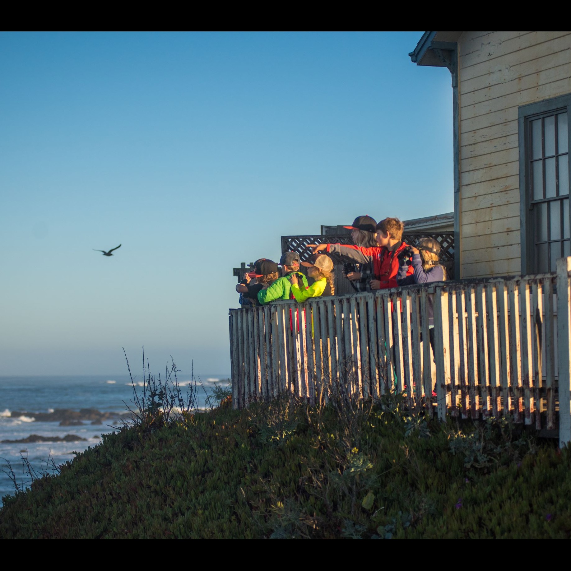 Photo 8 from EXPLORING NEW HORIZONS