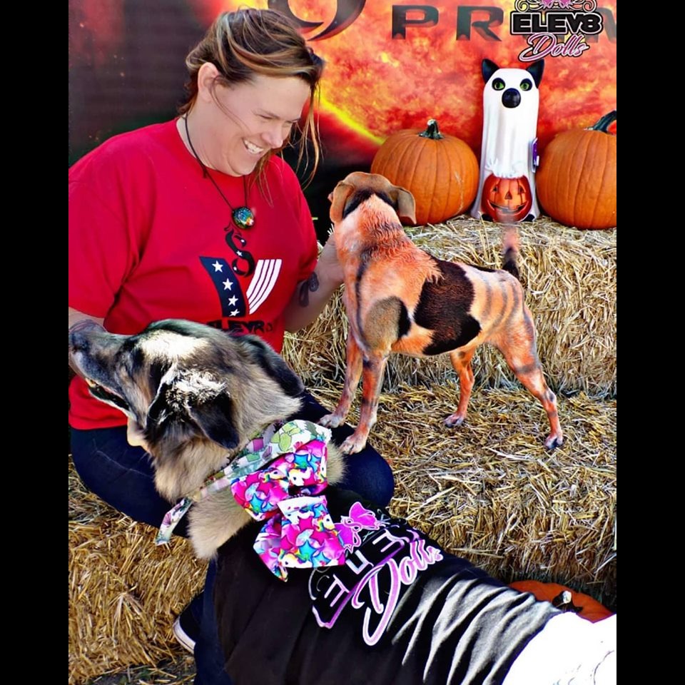 Photo 1 from Elev8 Veterans