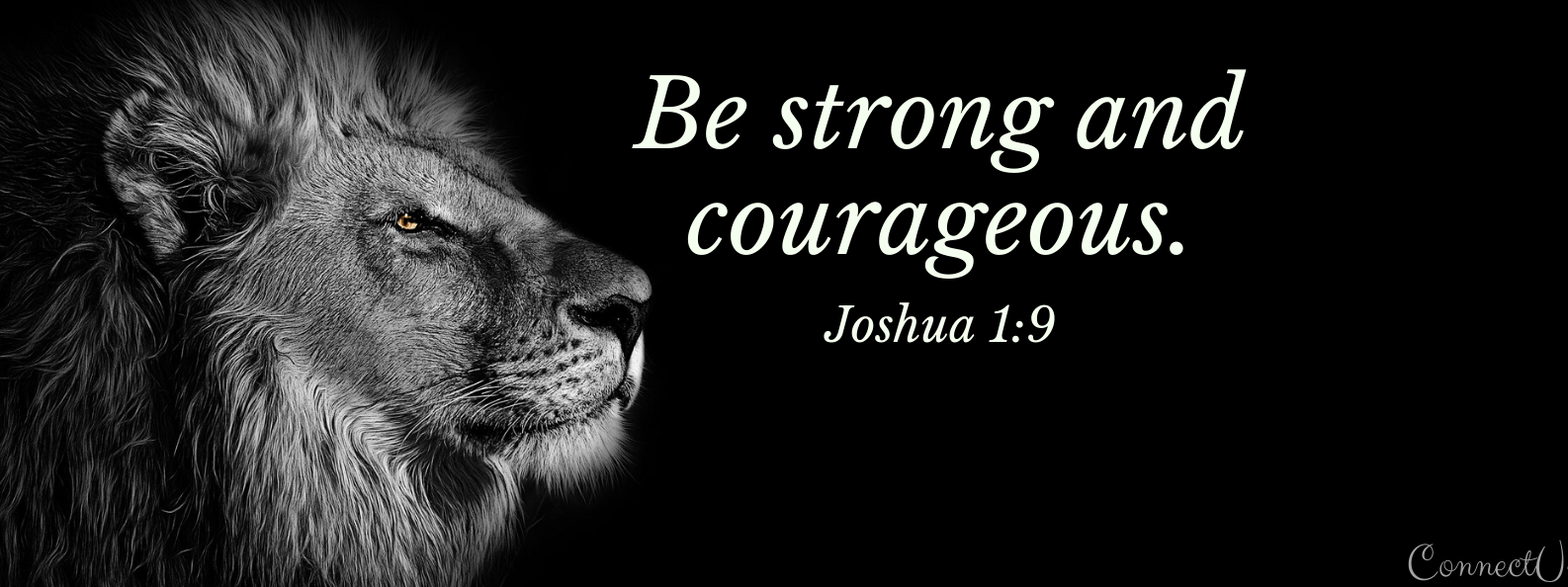 Alignment of Love Inc cover