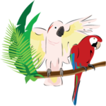 Under My Wing Avian Refuge