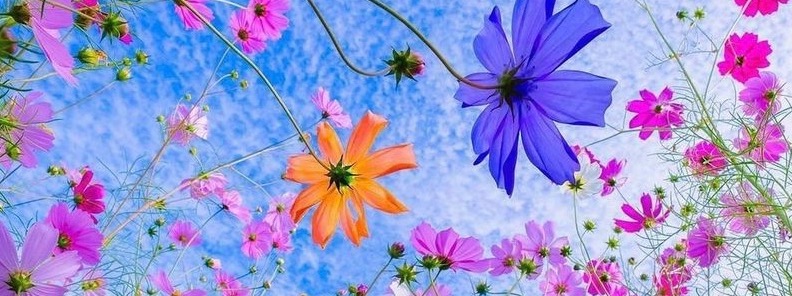 KALPA BHADRA KADAMPA BUDDHIST CENTER cover