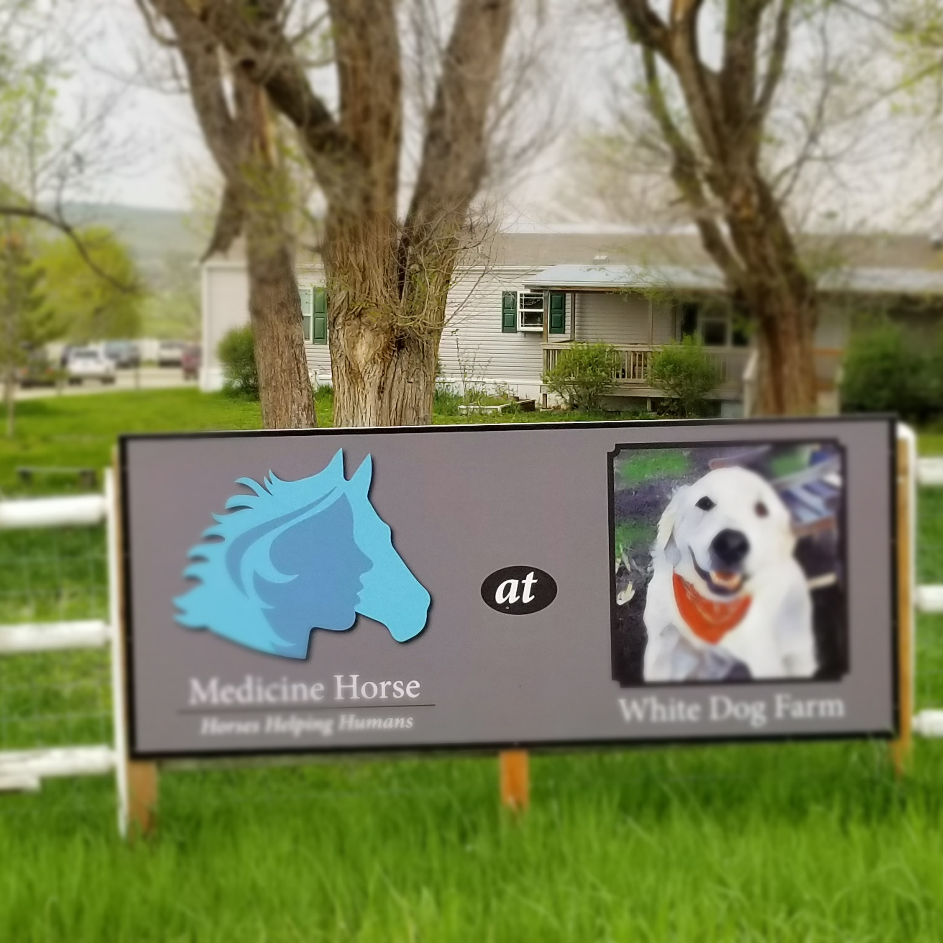 Photo 1 from Medicine Horse Program