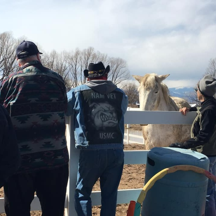 Photo 5 from Medicine Horse Program