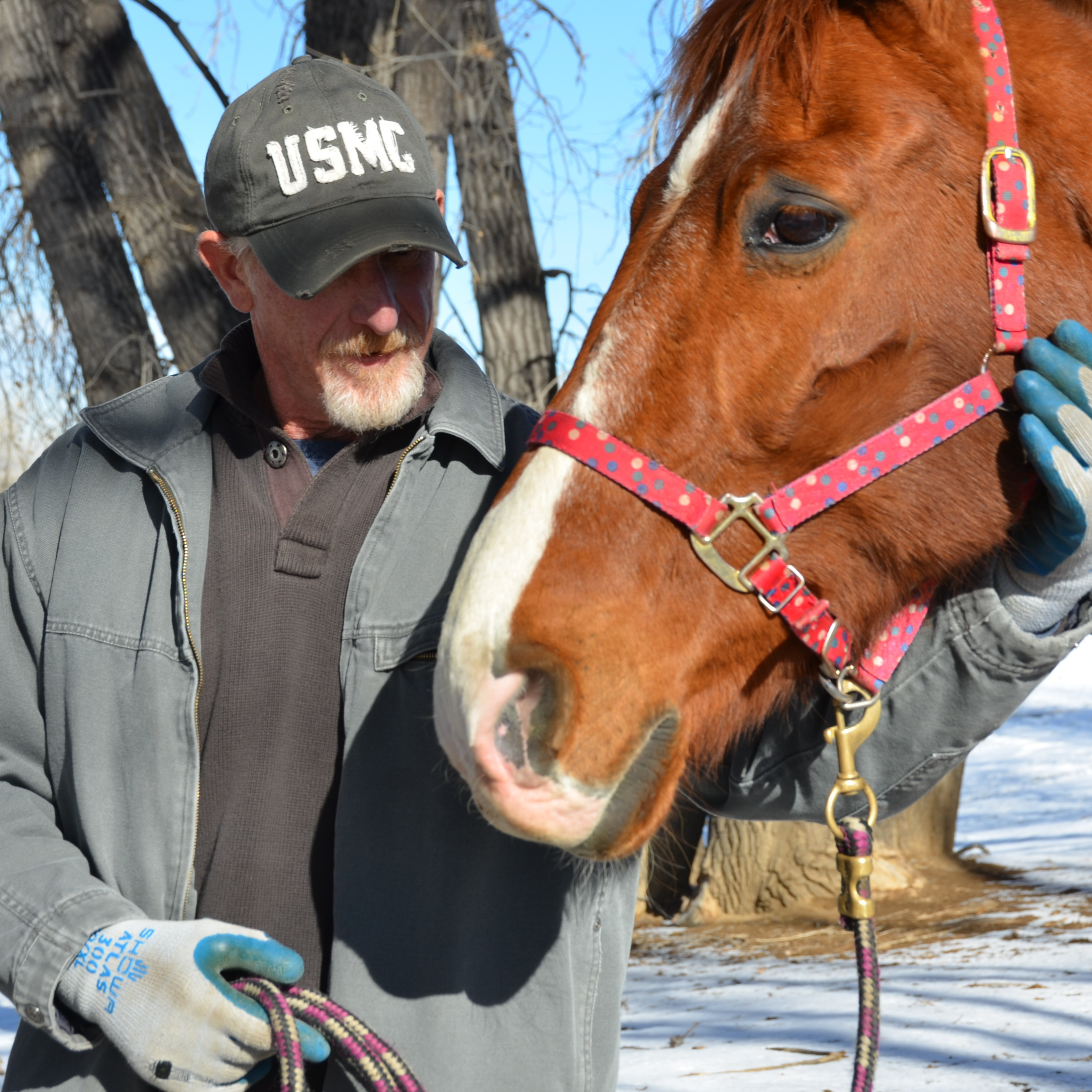 Photo 7 from Medicine Horse Program