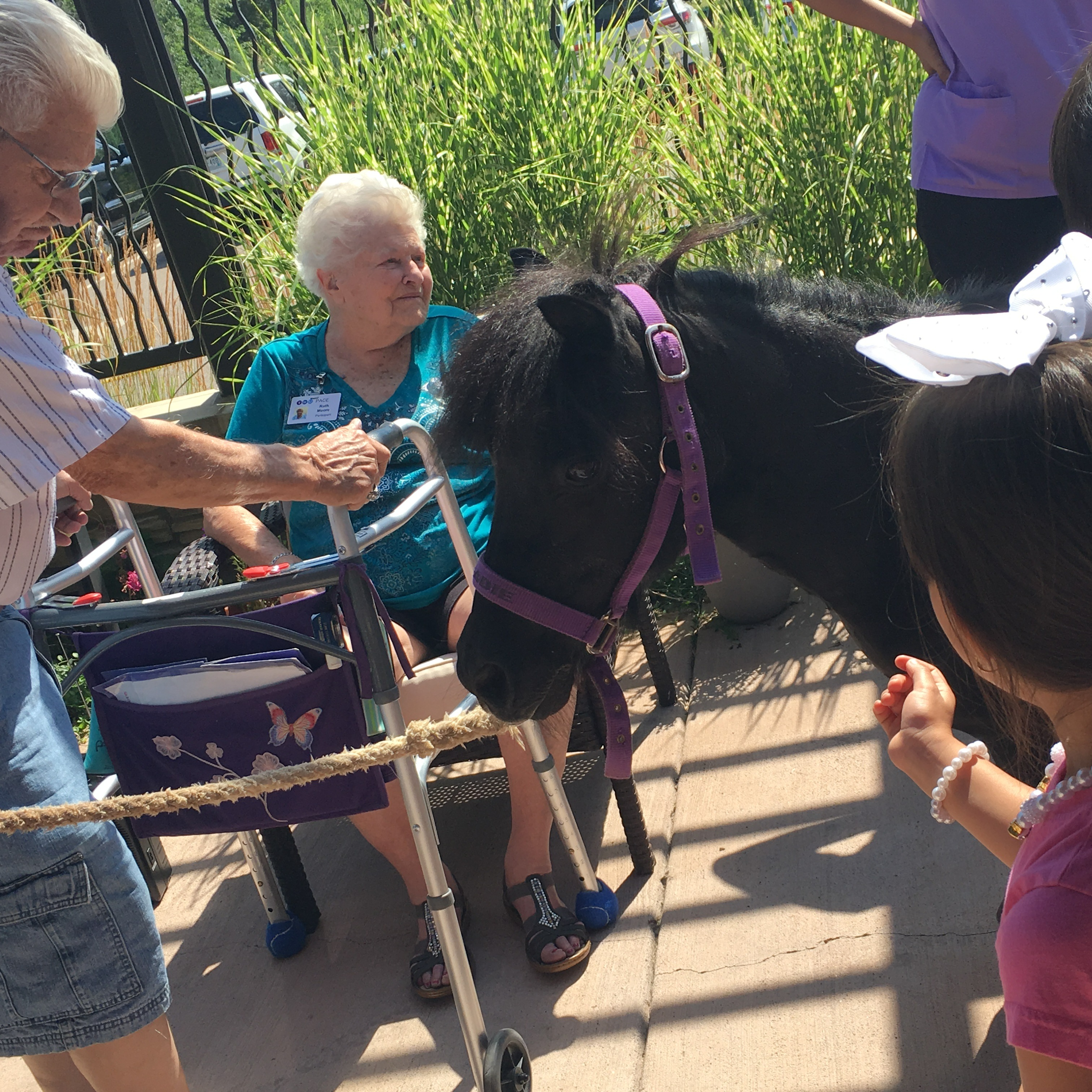 Photo 8 from Medicine Horse Program